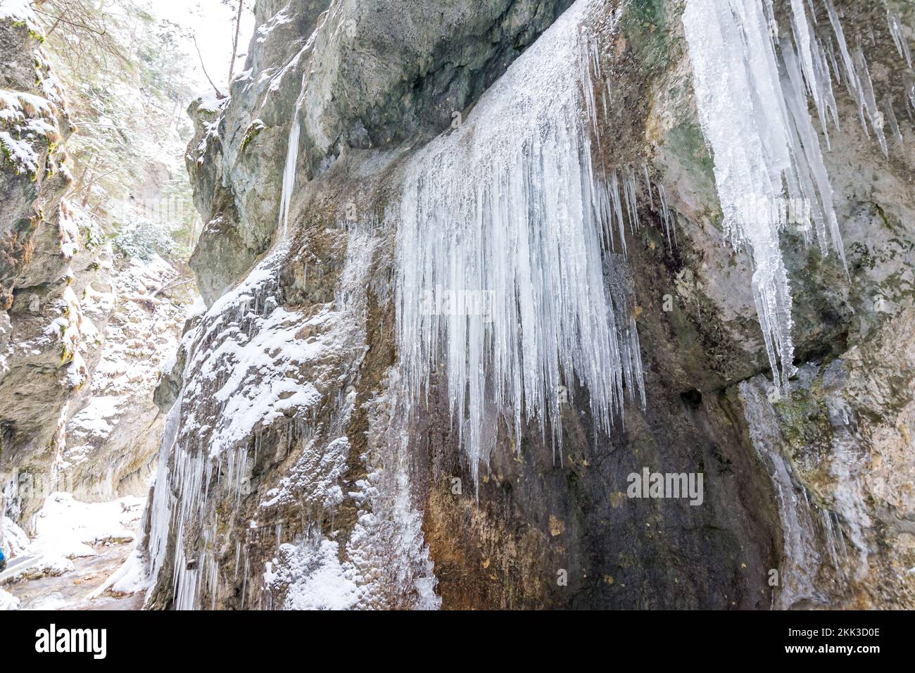 Parc national slovaque Mala Fatra, Janosikove diery, Terchova - parc extérieur en hiver, sentiers dans la neige, tourisme et randonnée. Banque D'Images