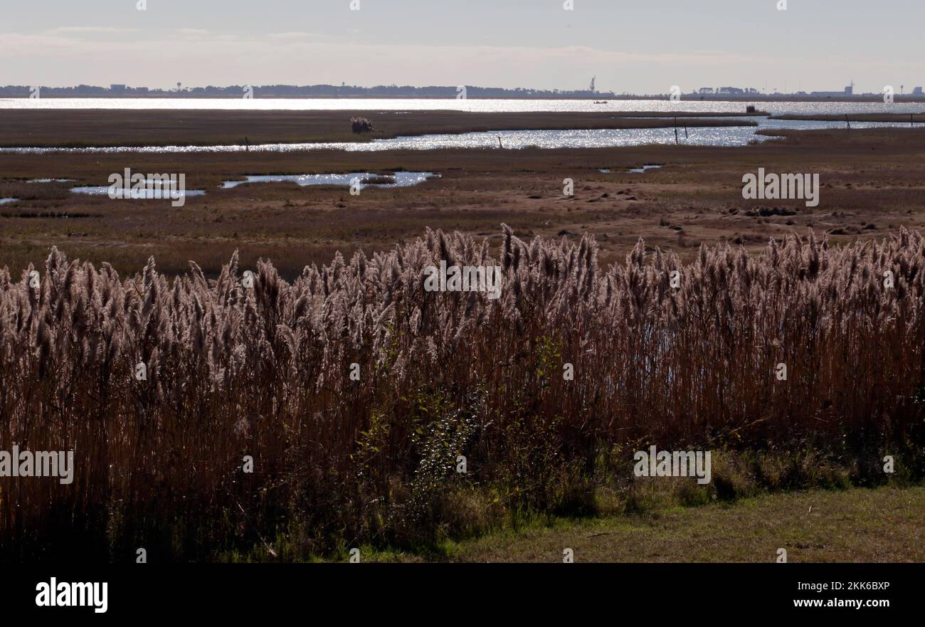 Vue depuis le centre d'accueil des visiteurs du site de vol Wallops Island de la NASA, vue sur Watts Bay, vers le site de lancement de fusée sur Wallops Island. Banque D'Images