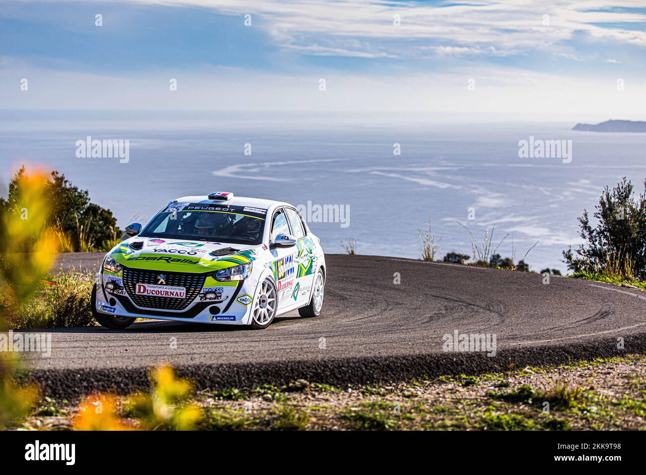 35 CALLEA Terence, DELIOT Manon, Peugeot 208 Rally4, action au cours du