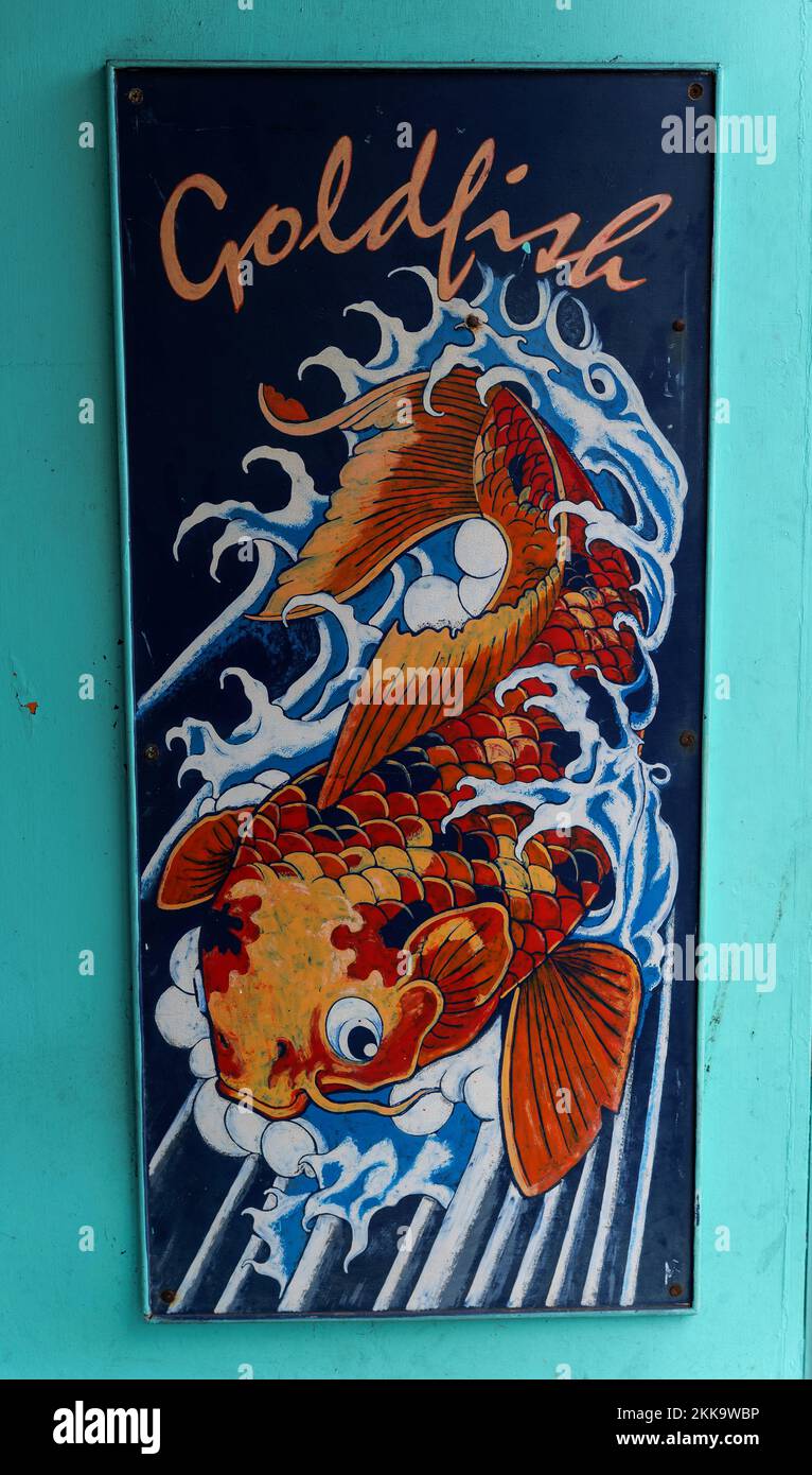 Panneau de tatouage de style japonais de poisson doré. Banque D'Images
