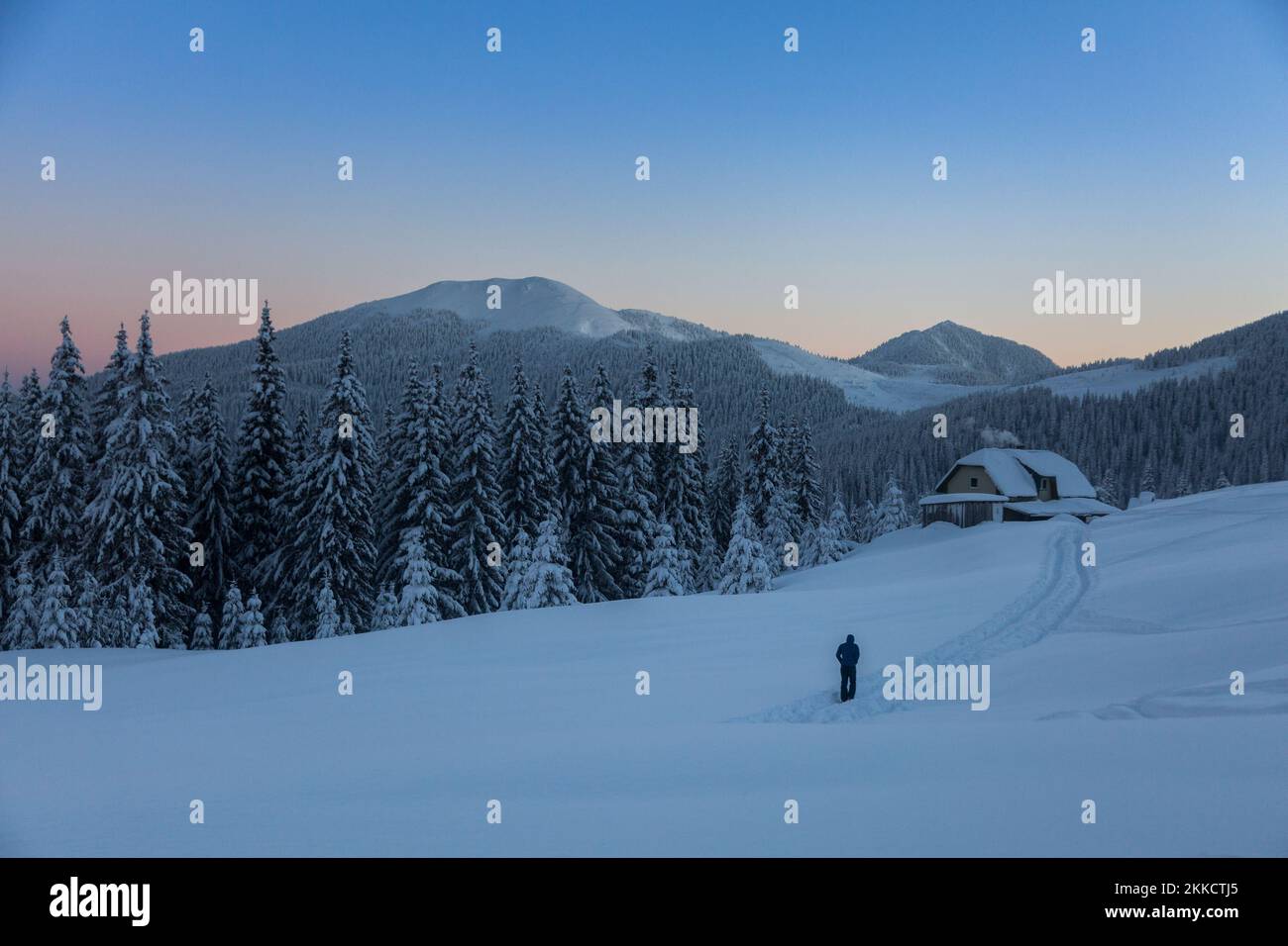 Un randonneur se rend dans une maison alpine au milieu d'un épicéa couvert de neige avec une belle montagne carpapienne à l'horizon du lever du soleil Banque D'Images