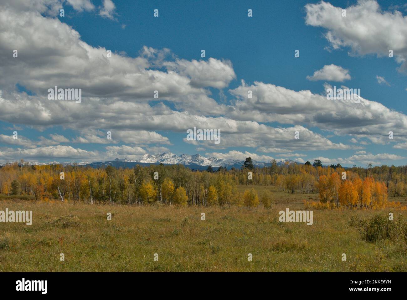 Début de l'automne dans les montagnes San Juan du Colorado : vue vers Lizard Head Wilderness depuis Stoner Mesa Banque D'Images