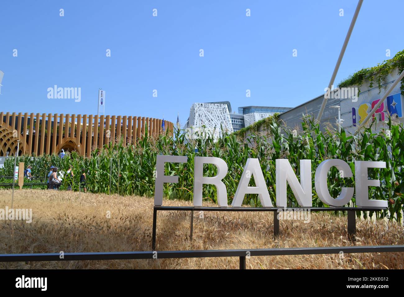 Vue panoramique de l'entrée du pavillon français de l'EXPO Milano 2015 avec l'écriture de la France en grandes lettres, le champ de blé jaune. Banque D'Images