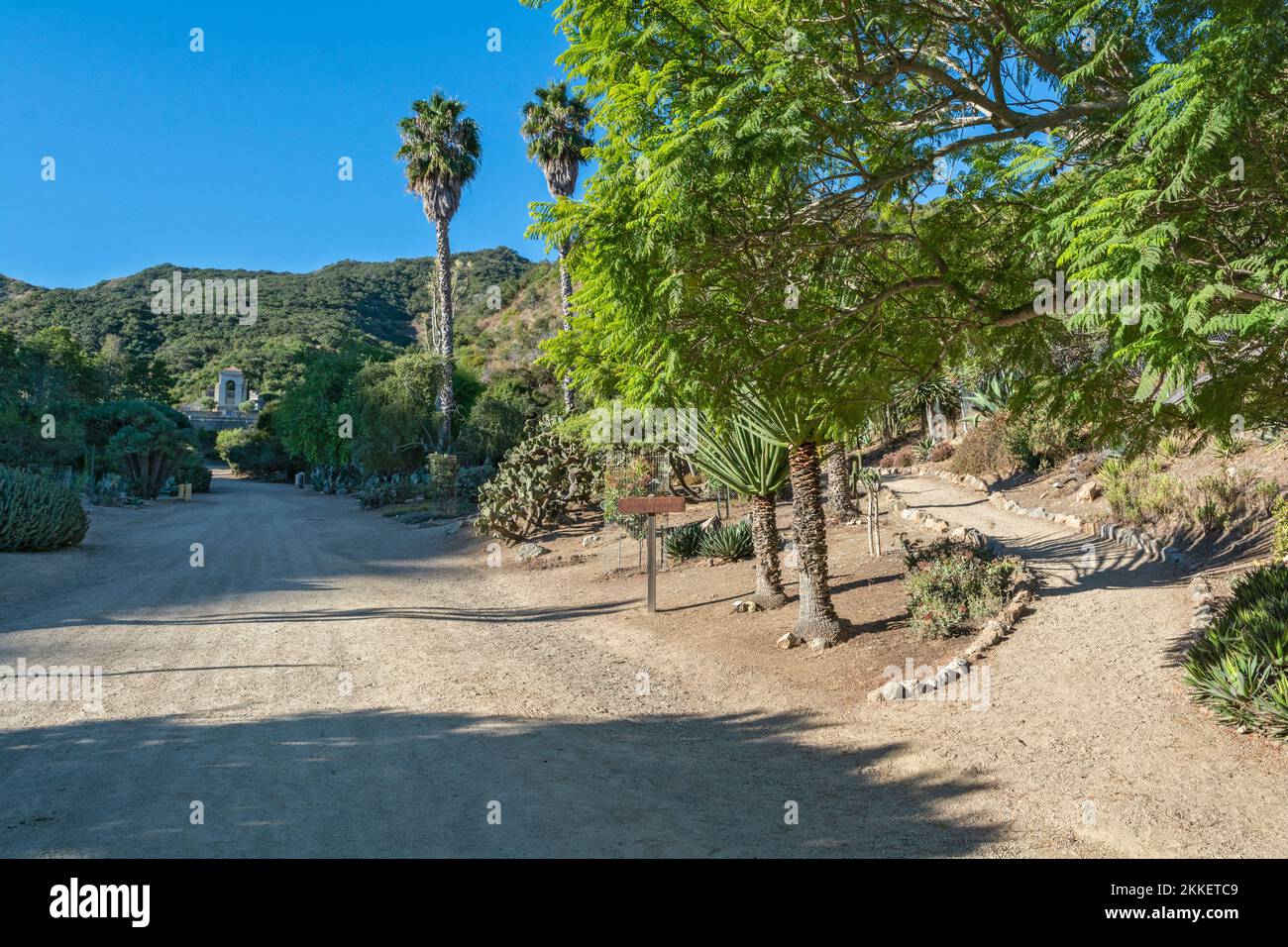 Californie, Catalina Island, Wrigley Memorial et jardins botaniques Banque D'Images