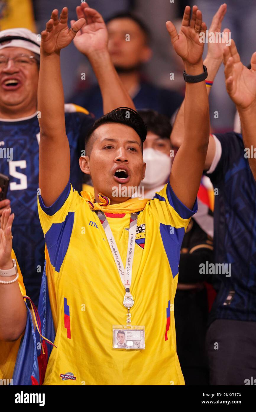 Doha, Qatar. 25th novembre 2022. DOHA, QATAR - NOVEMBRE 25: Les partisans de l'Équateur avant la coupe du monde de la FIFA le Qatar 2022 groupe Un match entre les pays-Bas et l'Équateur au stade international de Khalifa sur 25 novembre 2022 à Doha, Qatar. (Photo de Florencia Tan Jun/PxImages) crédit: PX Images/Alamy Live News Banque D'Images