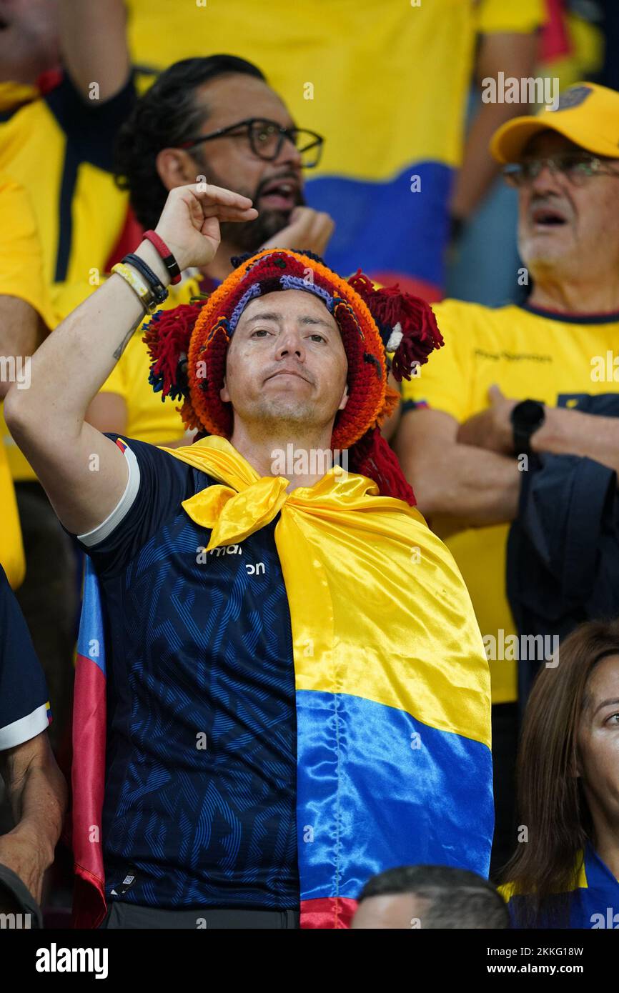 Doha, Qatar. 25th novembre 2022. DOHA, QATAR - NOVEMBRE 25: Les partisans de l'Équateur avant la coupe du monde de la FIFA le Qatar 2022 groupe Un match entre les pays-Bas et l'Équateur au stade international de Khalifa sur 25 novembre 2022 à Doha, Qatar. (Photo de Florencia Tan Jun/PxImages) crédit: PX Images/Alamy Live News Banque D'Images