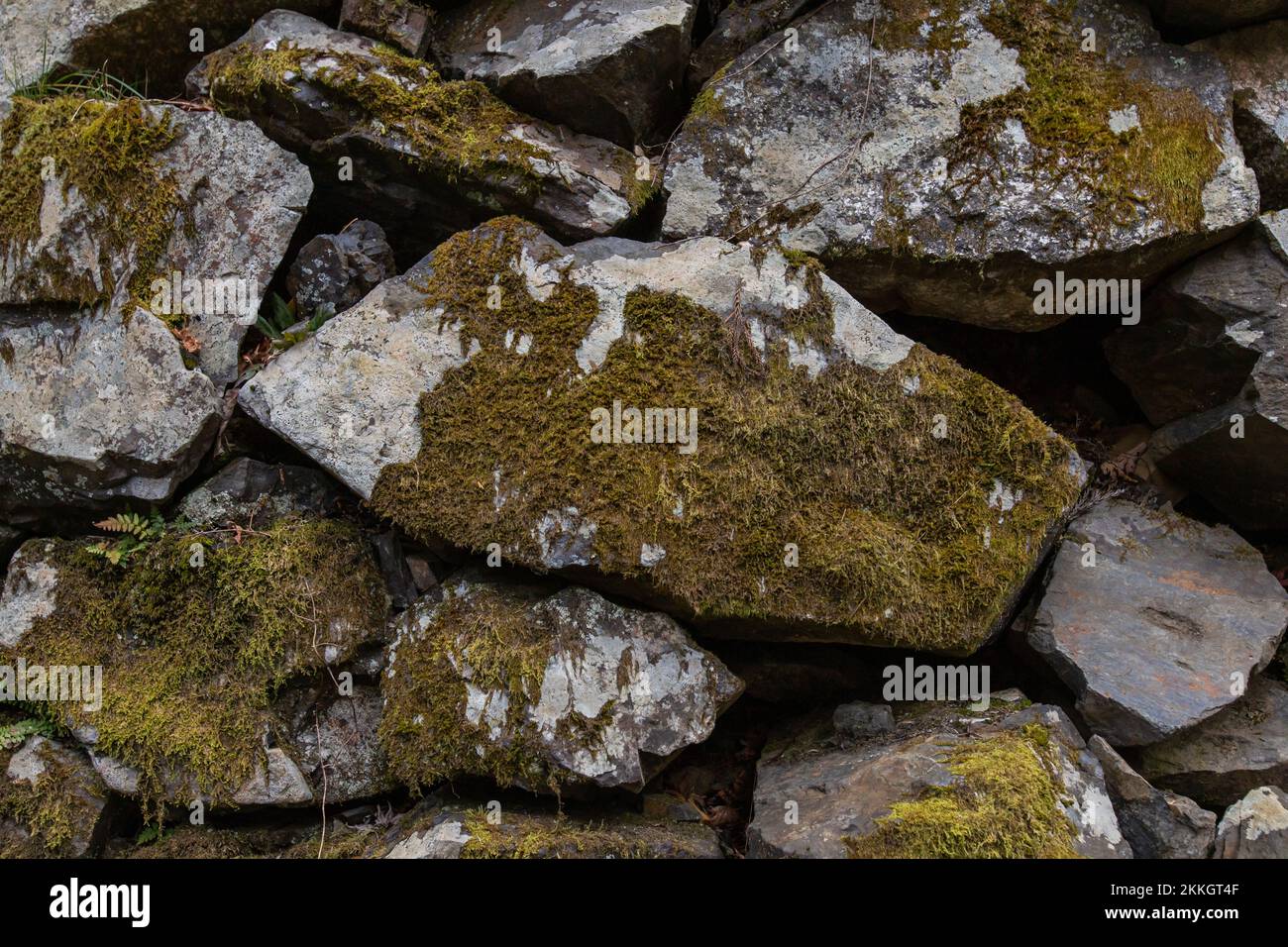 Mur en pierre avec mousse. Fond de motif mural en pierre naturelle. Banque D'Images