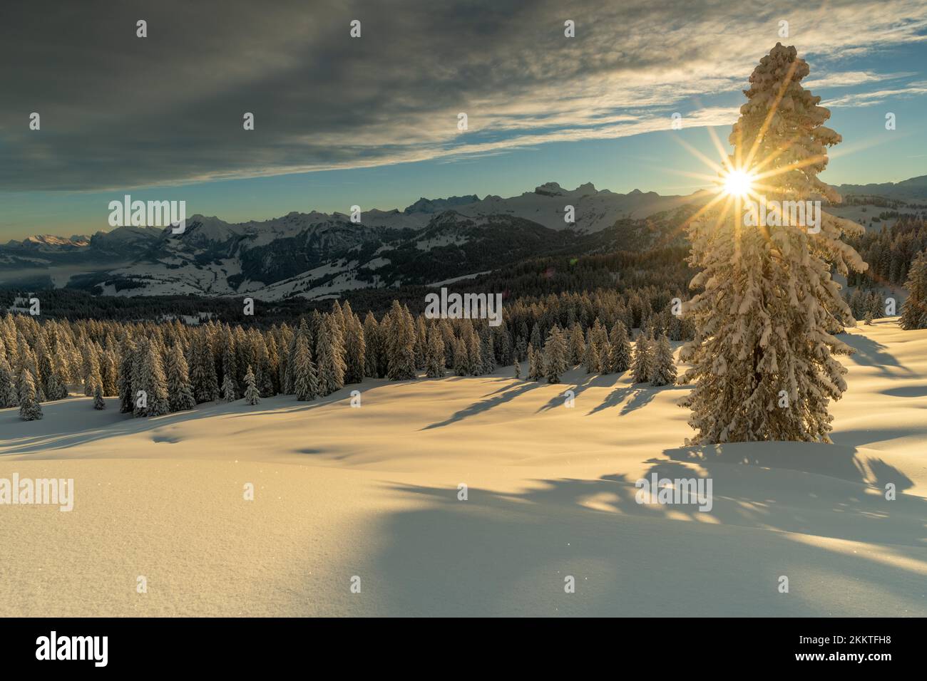 Paysage d'hiver fraîchement enneigé après le lever du soleil dans le canton de Schwyz, Suisse, Europe Banque D'Images