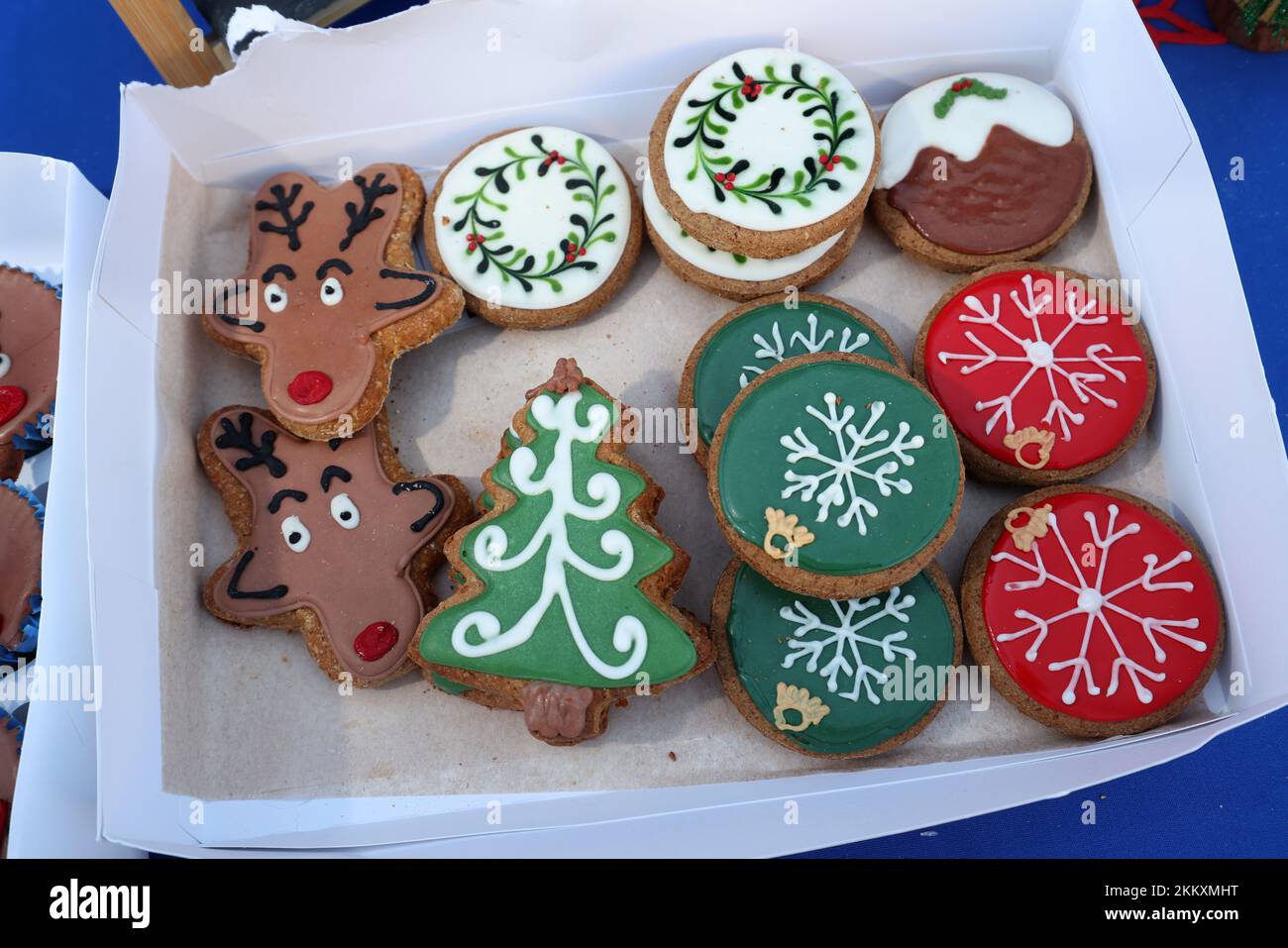 Gâteries spéciales pour chiens de Noël illustrées sur un marché à Lee-on-Solent, Hampshire, Royaume-Uni. Banque D'Images