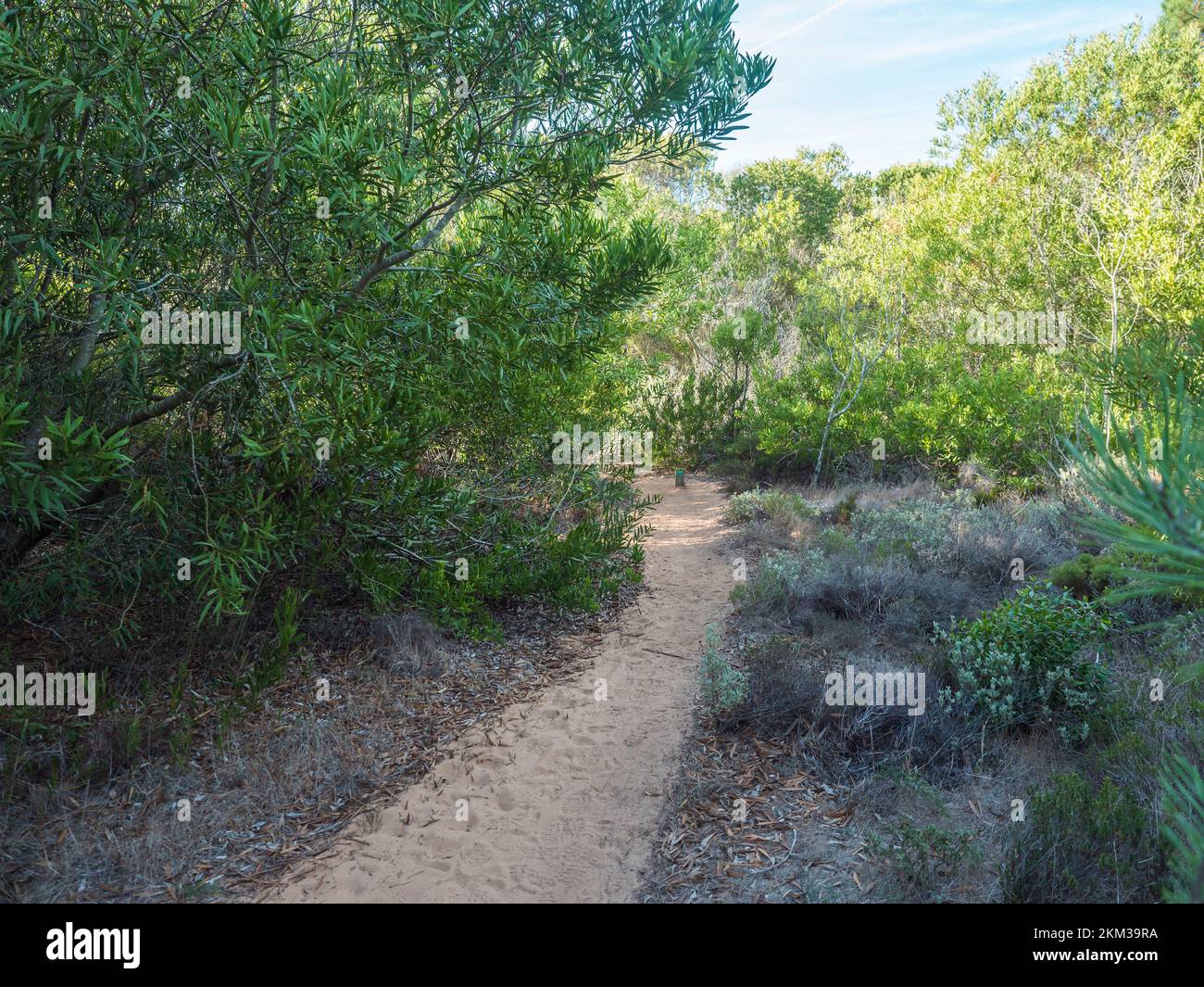 Sentier sablonneux menant à travers une végétation méditerranéenne dense et verte avec des signes bleus et verts de la piste de Fishermans. Belle route côtière de randonnée qui Banque D'Images