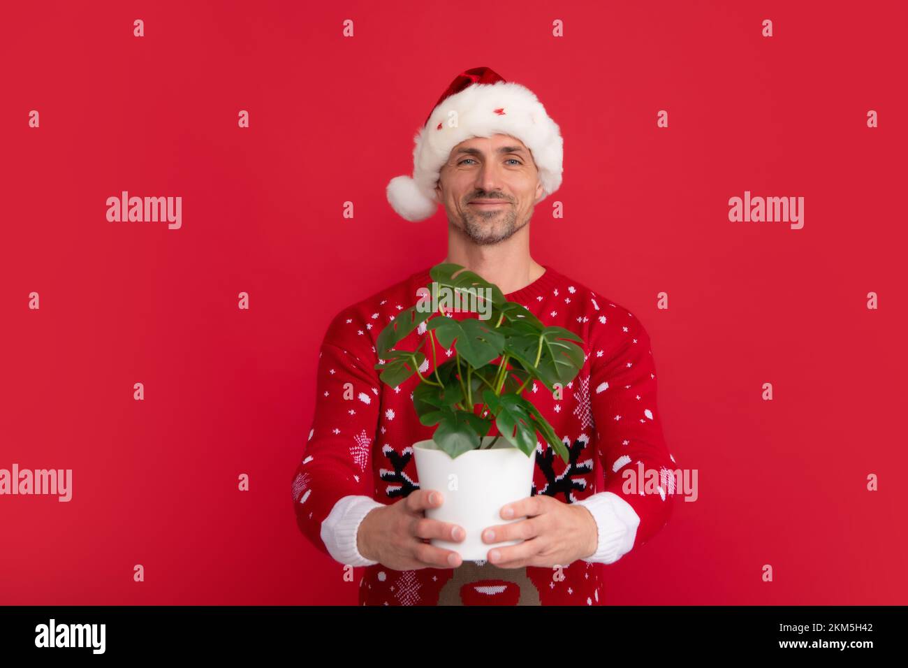 Pot de conservation de Santa avec plante. Homme en chandail de Noël et chapeau sur fond de couleur. père noël d'âge moyen. Banque D'Images