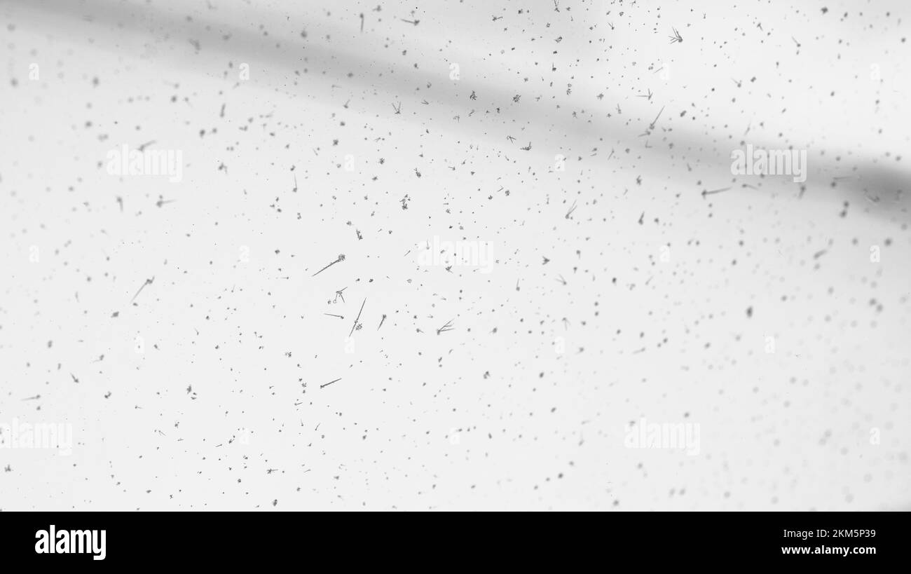 De petits cristaux de glace se forment sur la fenêtre de l'avion. Banque D'Images