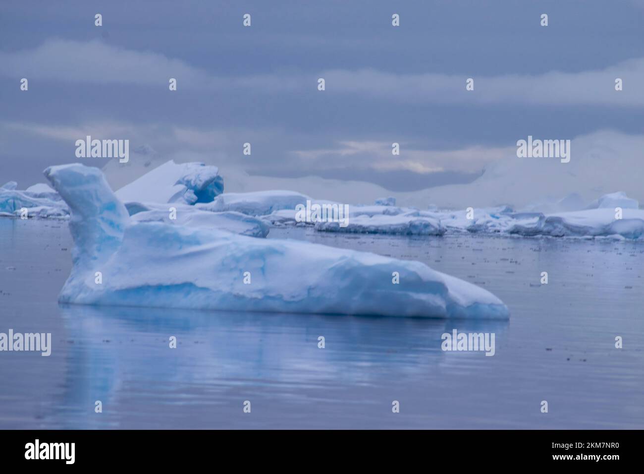 Icebergs flottant dans l'eau fixe autour d'Enterprise Island. Banque D'Images