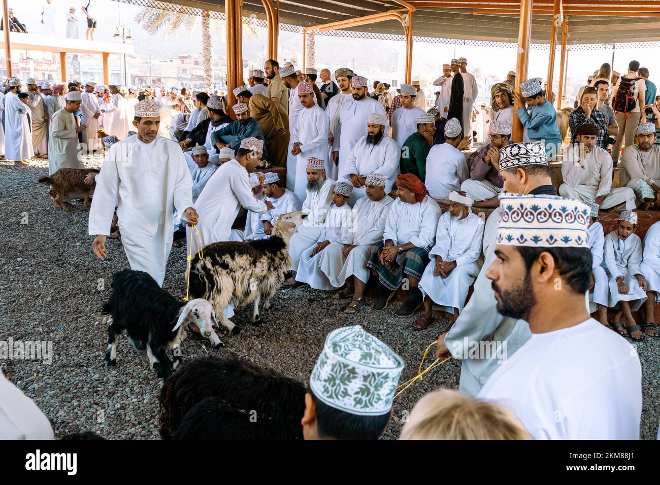 NIZWA, OMAN - 18 NOVEMBRE 2022 : marché de Goat Nizwa. Bazar traditionnel des animaux à Nizwa, Oman. Banque D'Images