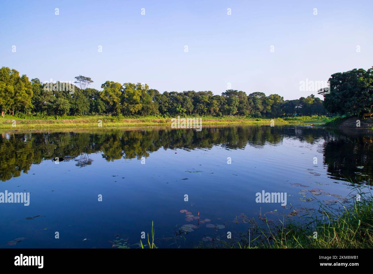 Vue sur le paysage naturel réflexion d'arbres dans l'eau du lac contre le ciel bleu Banque D'Images