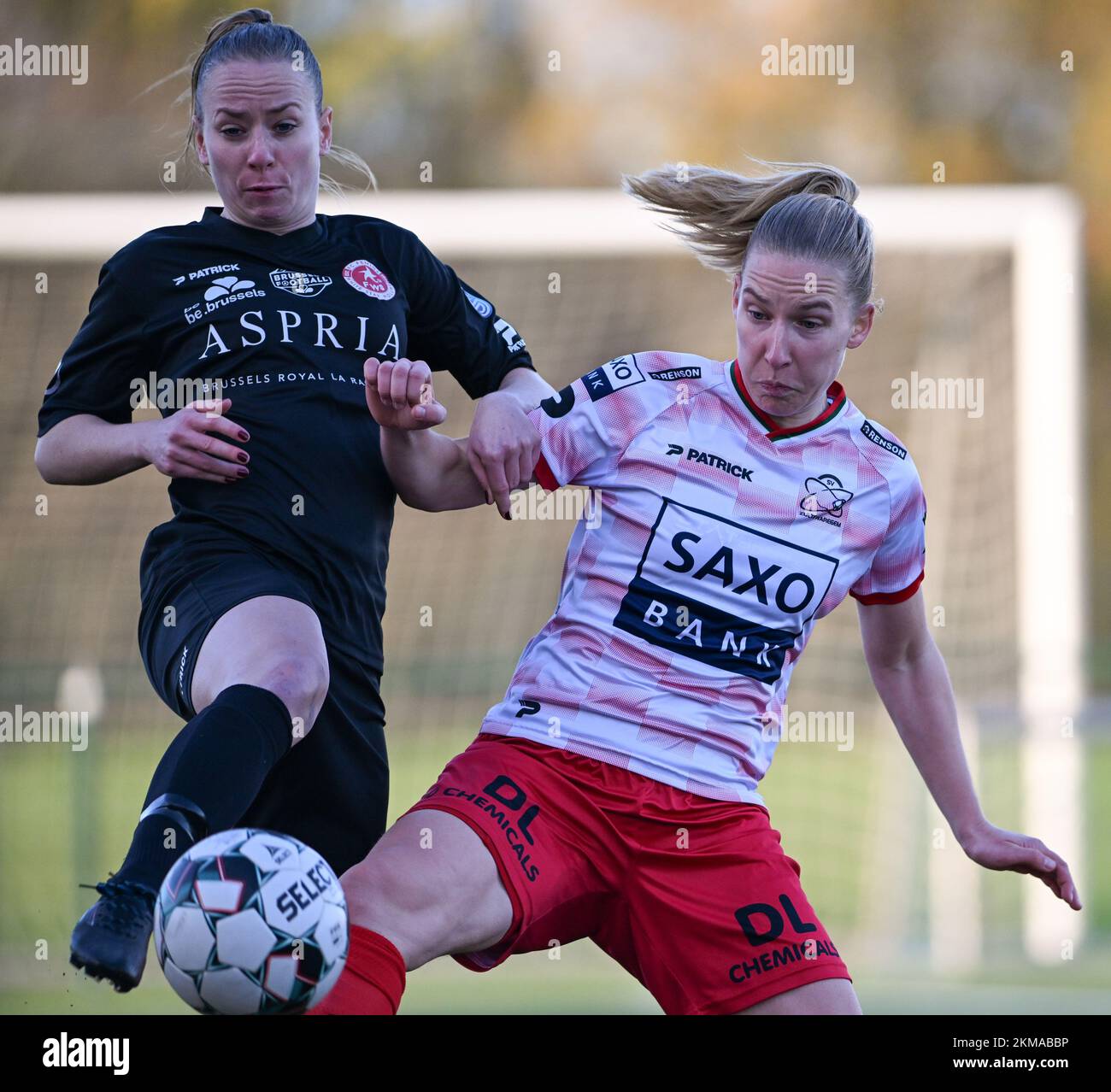 Zulte, Belgique. 26th novembre 2022. Lotte Michiels (15) de Woluwe  photographié en train de se battre pour la balle avec Laura Vervacke (20)  de Zulte-Waregem lors d'un match de football féminin entre