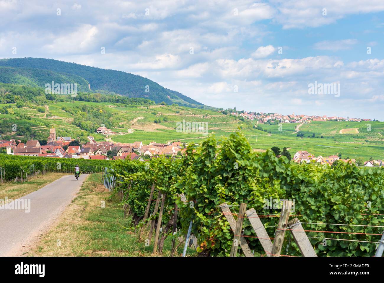 Gueberschwihr (Geberschweier, Gawerschwihr): Vue sur le village Gueberschwihr (Geberschweier, Gawerschwihr), vignobles, montagnes des Vosges en Alsace (Els Banque D'Images