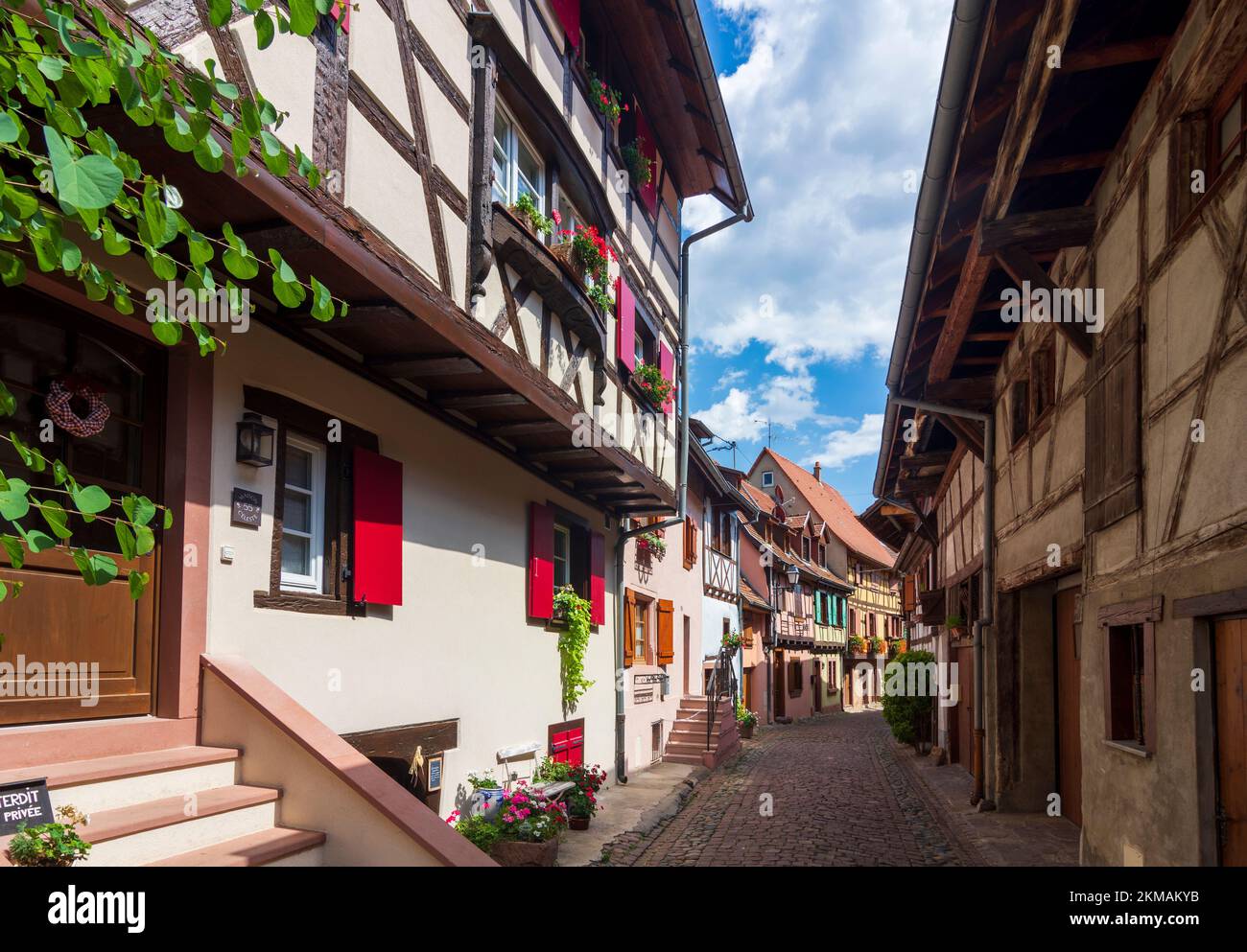 Eguisheim (Egisheim) : vieille ville, ruelle étroite, maisons à colombages, fleurs en Alsace (Elssass), Haut-Rhin (Oberelsss), France Banque D'Images