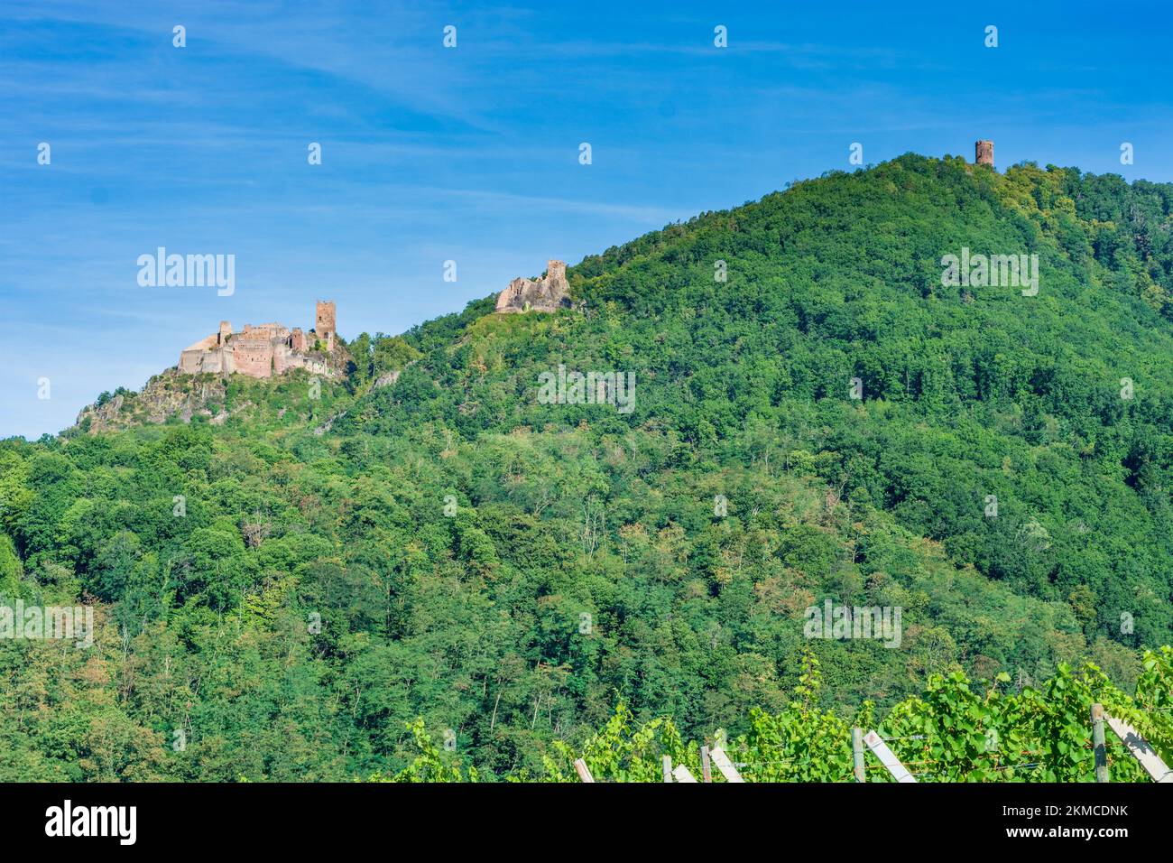 Ribeauville (Rappoltsweiler, Rappschwihr) : ruines de 3 châteaux, Saint-Ulrich, Girsberg et Haut-Ribeaupierre, vignoble d'Alsace (Elsss), Haut-Rhin (O Banque D'Images