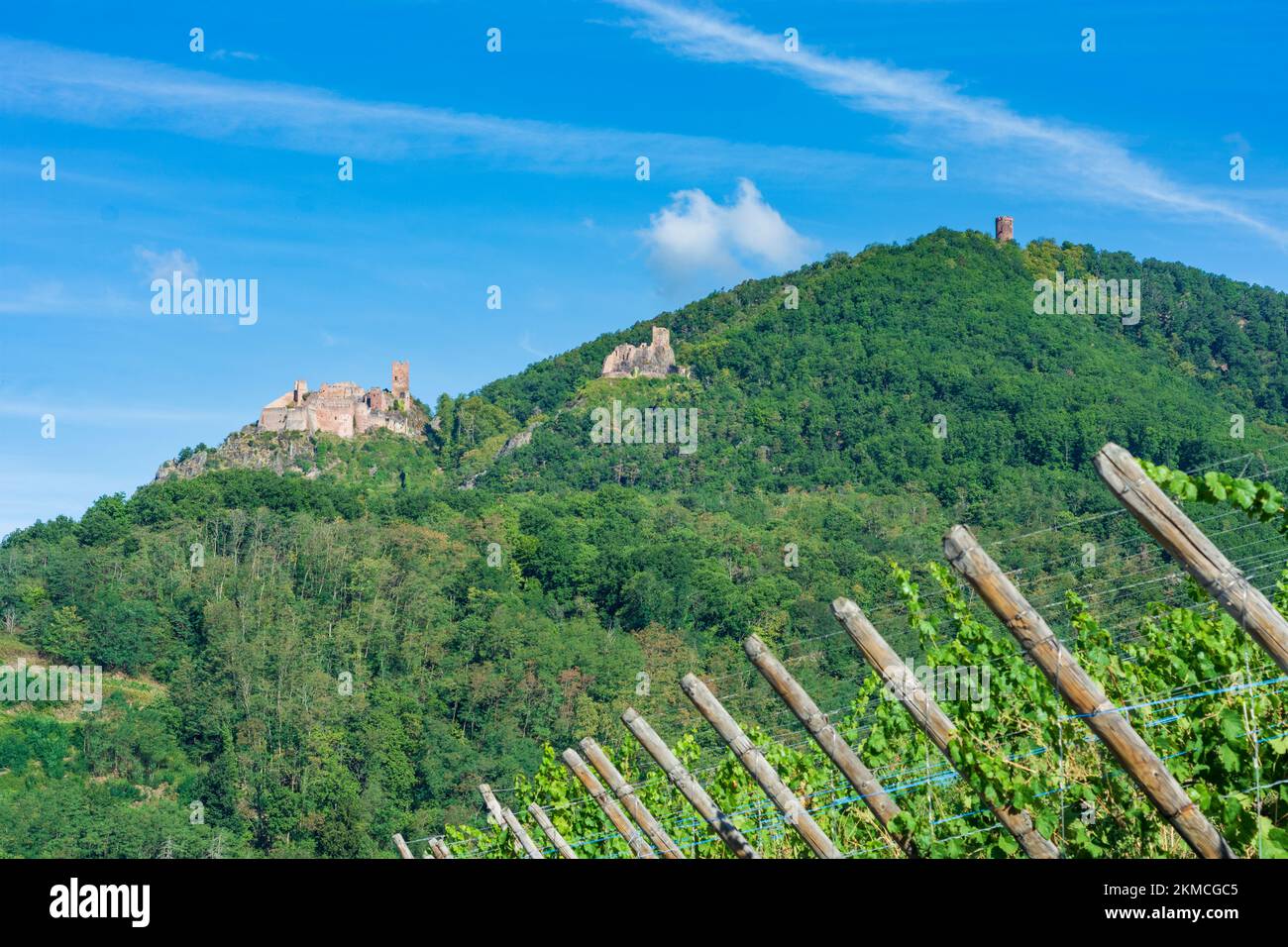 Ribeauville (Rappoltsweiler, Rappschwihr) : ruines de 3 châteaux, Saint-Ulrich, Girsberg et Haut-Ribeaupierre, vignoble d'Alsace (Elsss), Haut-Rhin (O Banque D'Images