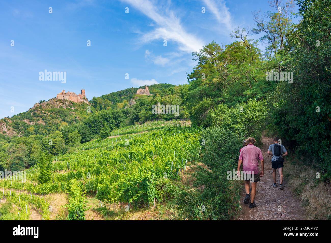 Ribeauville (Rappoltsweiler, Rappschwihr) : ruines de 3 châteaux, Saint-Ulrich, Girsberg et Haut-Ribeaupierre, randonneur en Alsace (Elssass), Haut-Rhin (Ober Banque D'Images