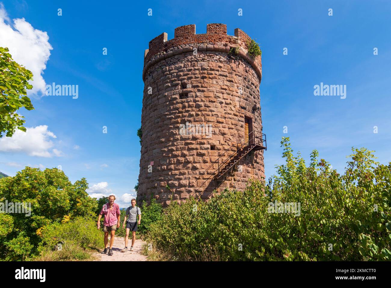 Ribeauville (Rappoltsweiler, Rappschwihr) : Château du Haut-Ribeaupierre en Alsace (Elssass), Haut-Rhin (Oberelsss), France Banque D'Images