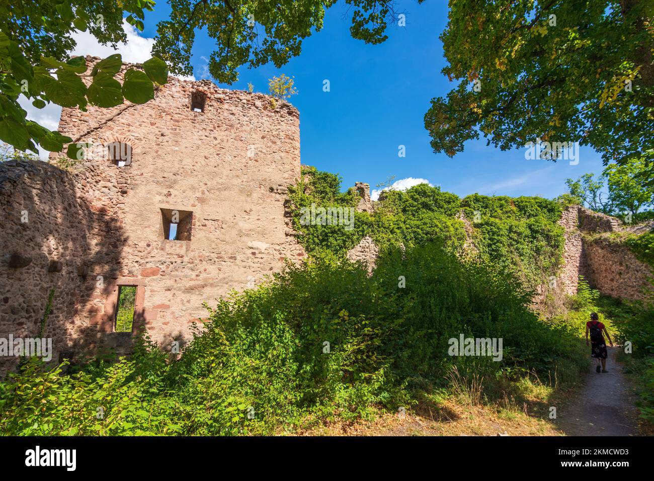 Ribeauville (Rappoltsweiler, Rappschwihr) : Château du Haut-Ribeaupierre en Alsace (Elssass), Haut-Rhin (Oberelsss), France Banque D'Images