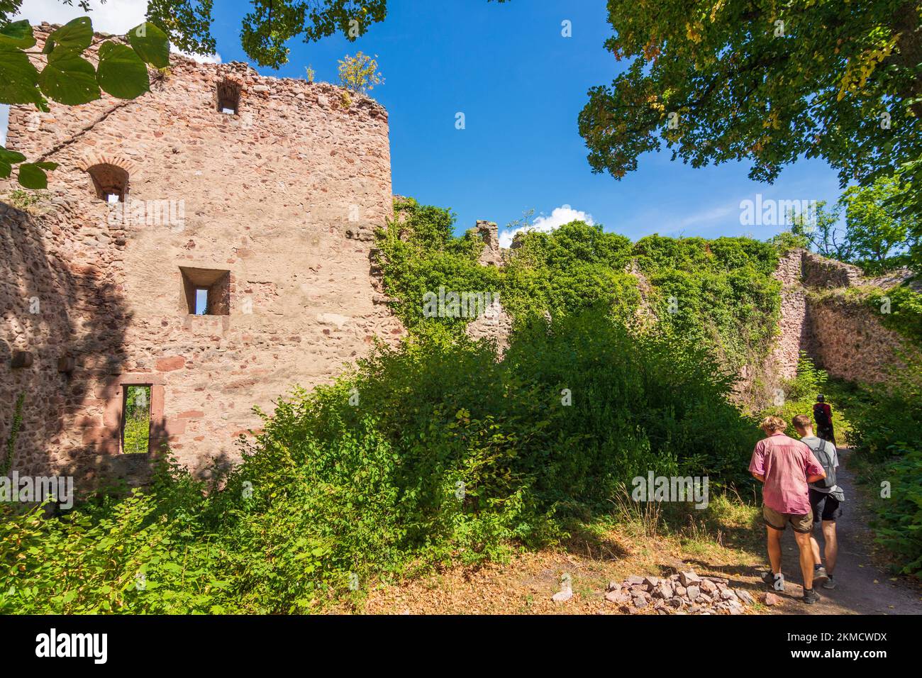 Ribeauville (Rappoltsweiler, Rappschwihr) : Château du Haut-Ribeaupierre en Alsace (Elssass), Haut-Rhin (Oberelsss), France Banque D'Images