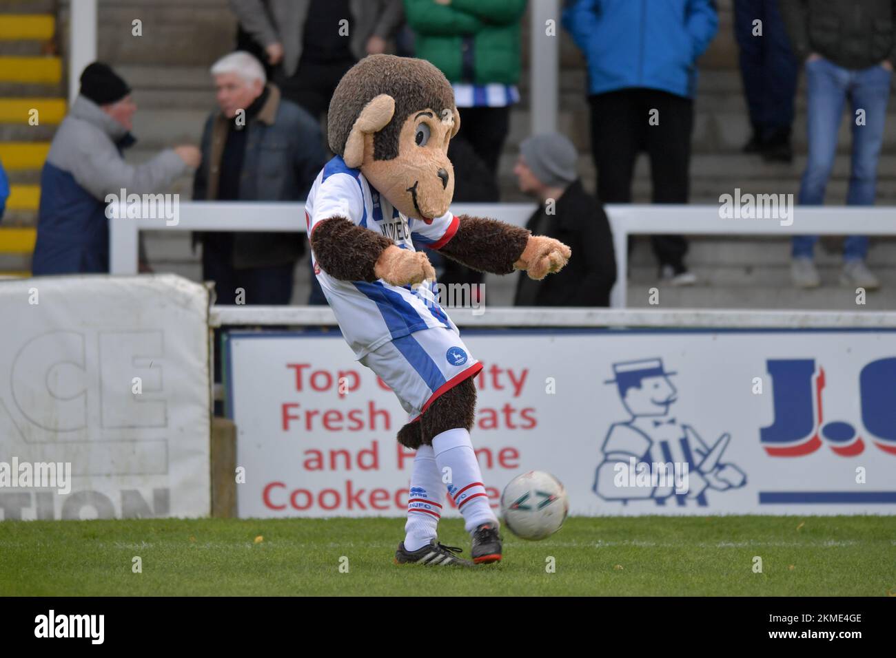 Hartlepool, Royaume-Uni. 19th novembre 2022. H'Angus The Monkey de Hartlepool United pendant la demi-partie du deuxième tour de la coupe FA entre Hartlepool United et Harrogate Town à Victoria Park, Hartlepool, le samedi 26th novembre 2022. (Crédit : Scott Llewellyn | MI News) crédit : MI News & Sport /Alay Live News Banque D'Images