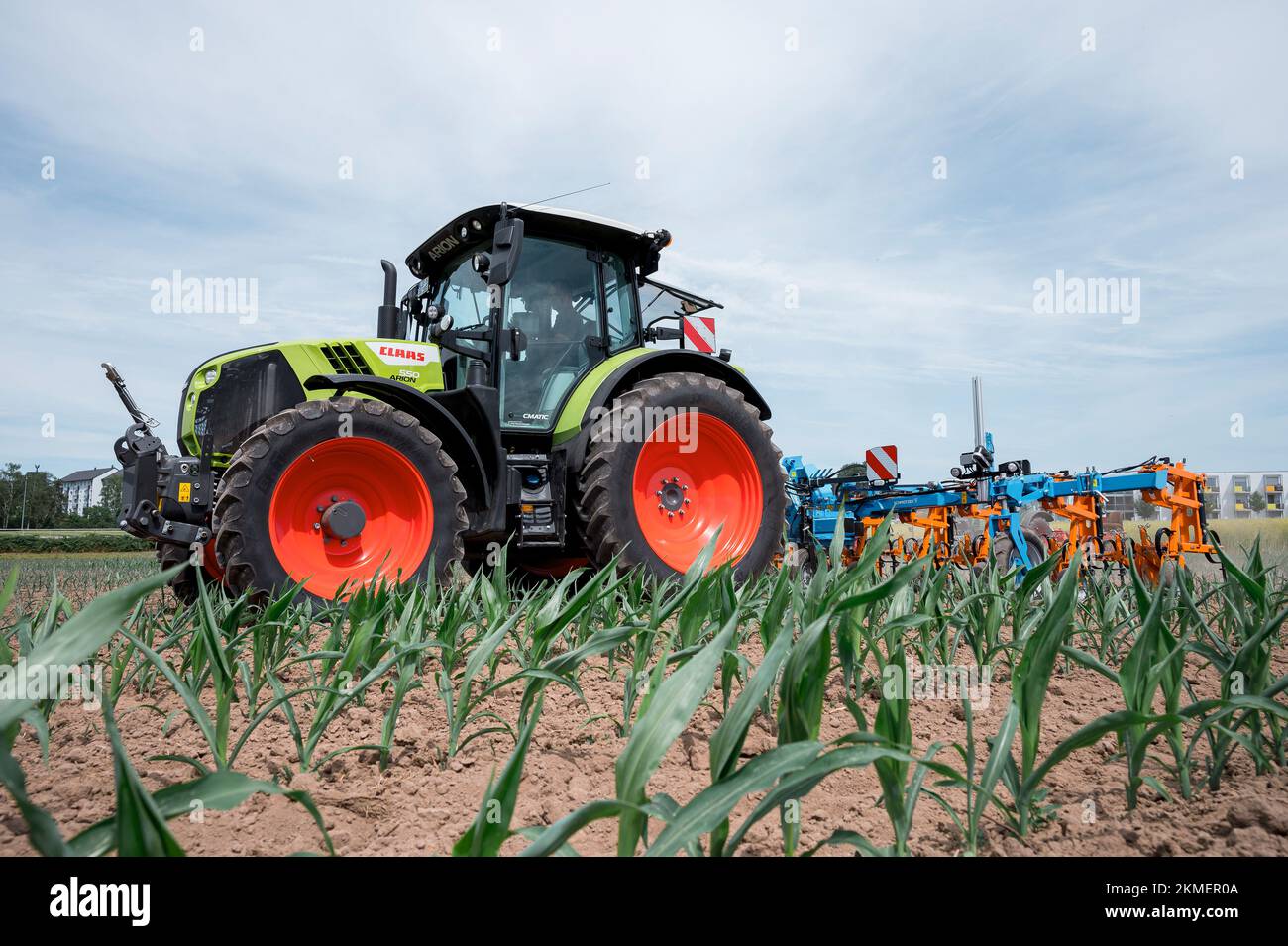 Bayreuth, Allemagne. 21st juin 2022. Un tracteur passe au-dessus d'un champ de maïs avec une pelle agricole de la société Schmotzer pour éliminer les mauvaises herbes entre le maïs. Les instituts de formation agricole de Bayreuth et les cercles de machines de la haute-Franconie présentent la technologie de binage mécanique comme alternative aux engrais artificiels et à la lutte chimique contre les mauvaises herbes. Credit: Daniel Vogl/dpa/Alay Live News Banque D'Images