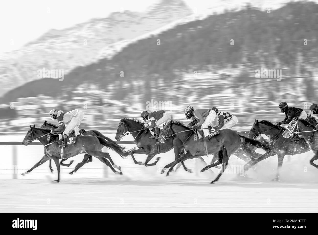 Course de chevaux pendant la Turf blanche à St.Moritz, Suisse Banque D'Images