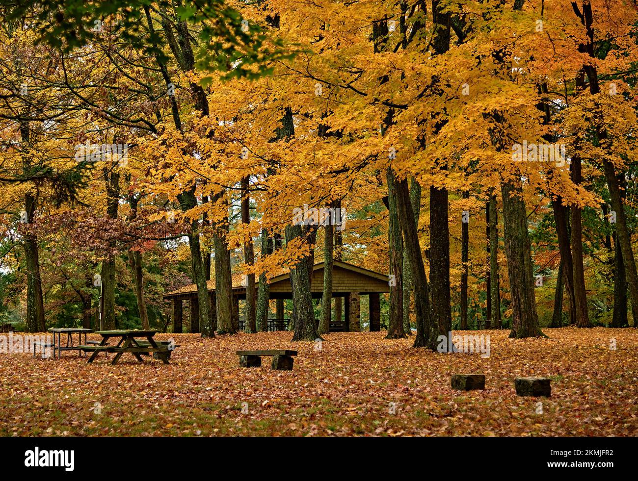 Une aire de repos ou de pique-nique à Titusville, NJ, USA, au parc national de Washington Crossing, avec de beaux arbres d'automne. Sur le site de la traversée de George Washington. Banque D'Images