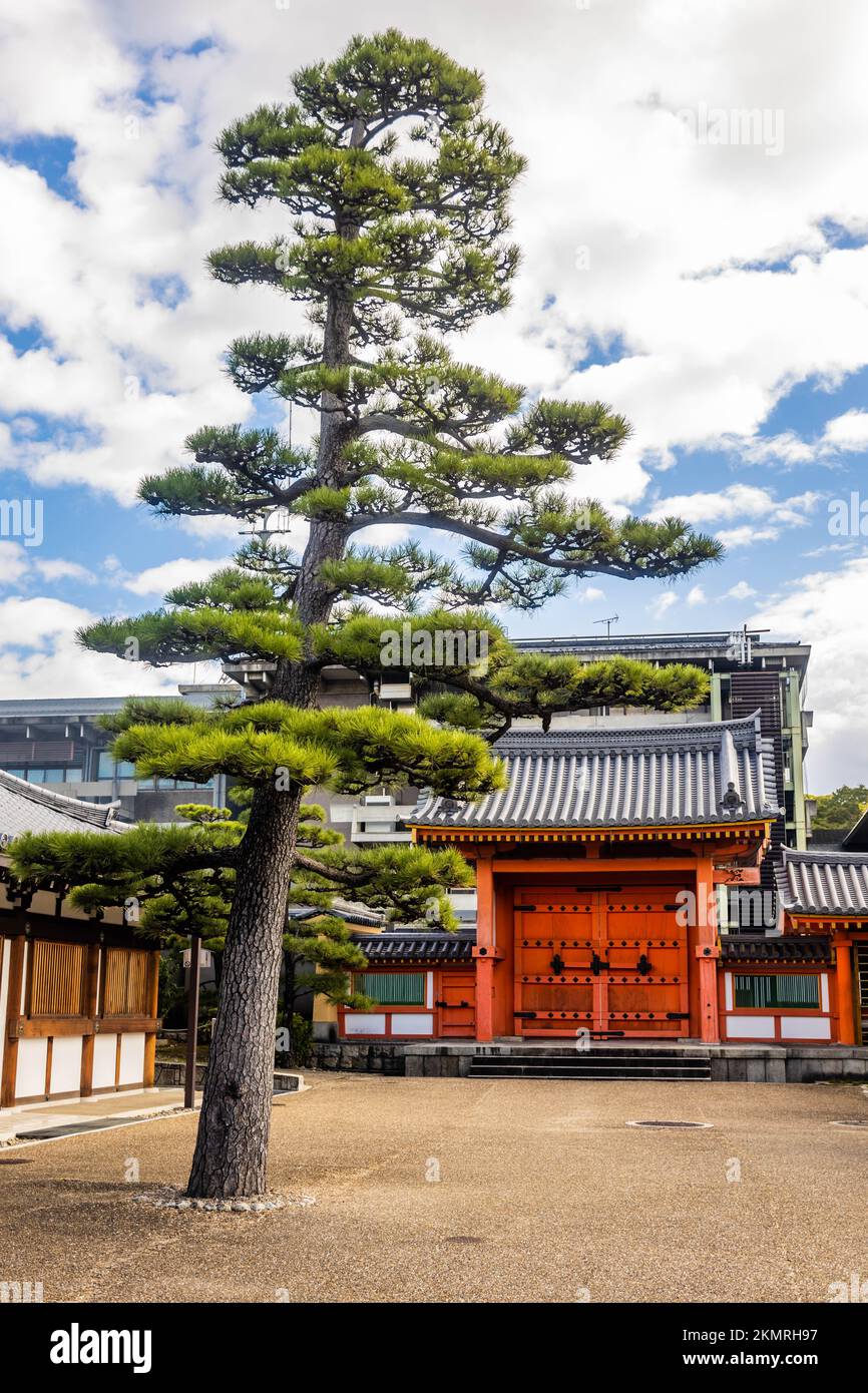 Portes rouges au sanctuaire de la cour du temple de Rengeoin Sanjusangendo à Kyoto au Japon Banque D'Images