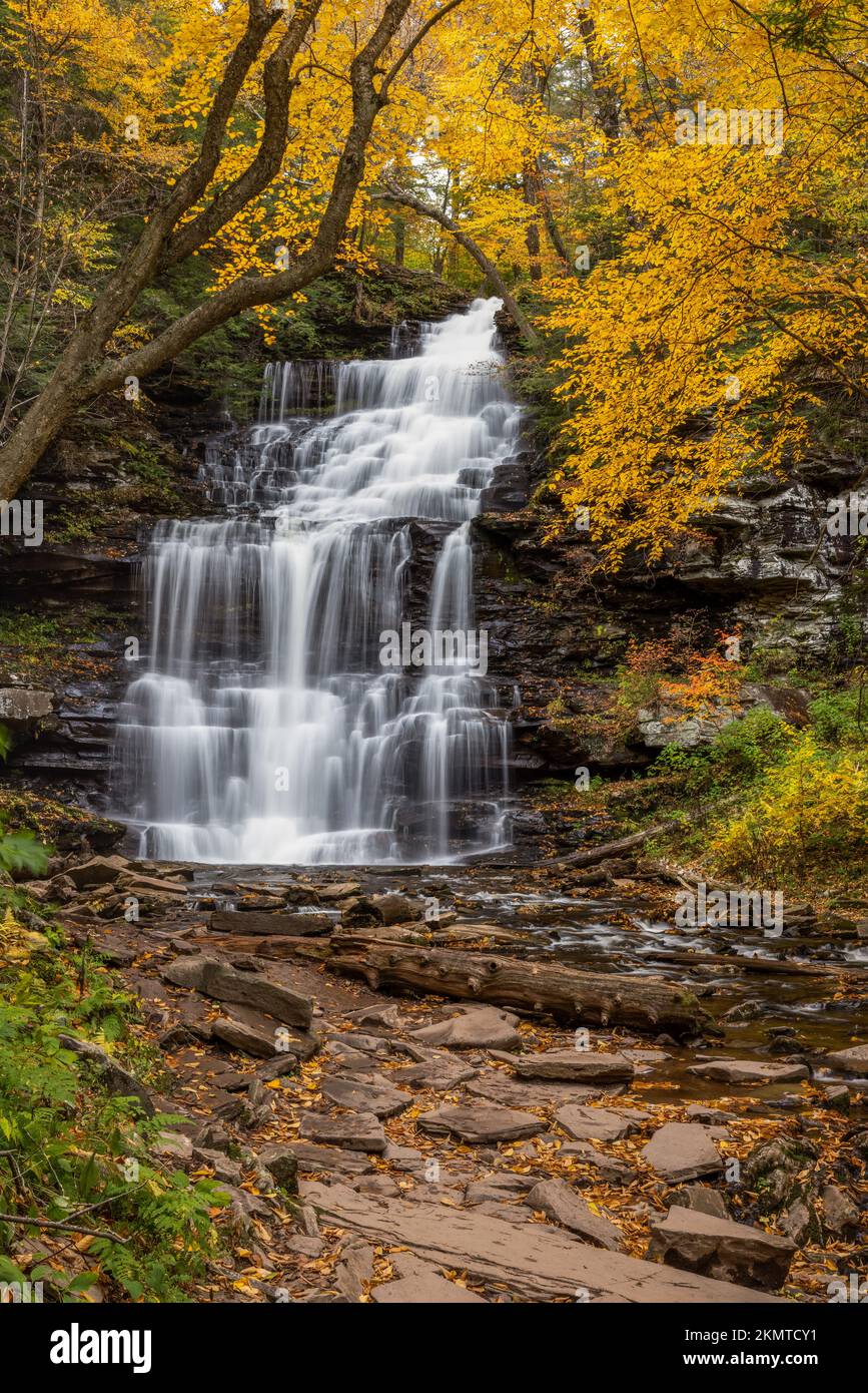 Ganoga Falls en automne, parc national Ricketts Glen, Pennsylvanie Banque D'Images