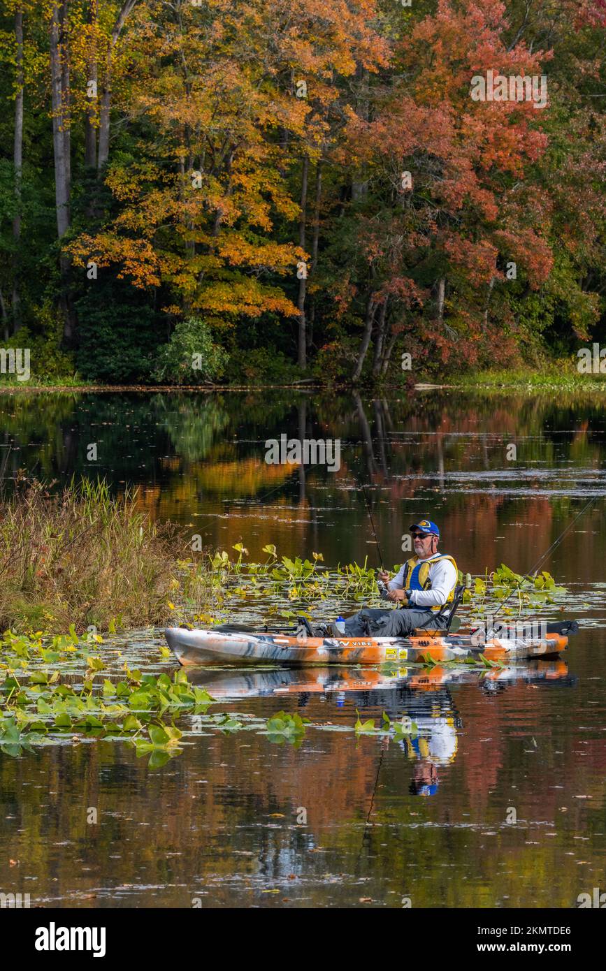 Pêcheur en kayak sur Broad Creek en automne, Bethel, Delaware Banque D'Images