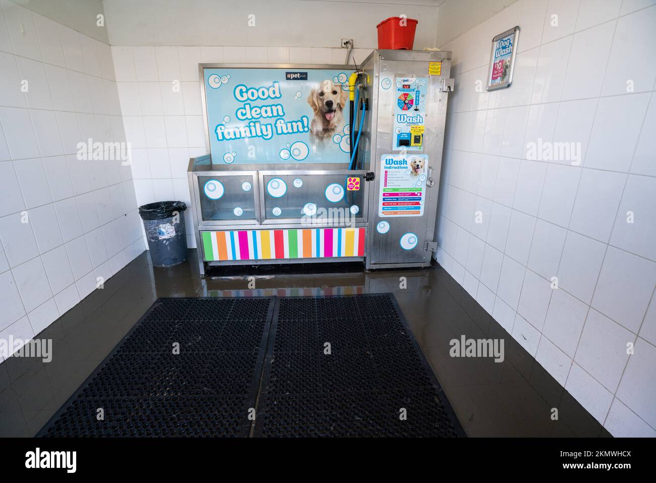 Lavage de chien en libre service Banque de photographies et d’images à