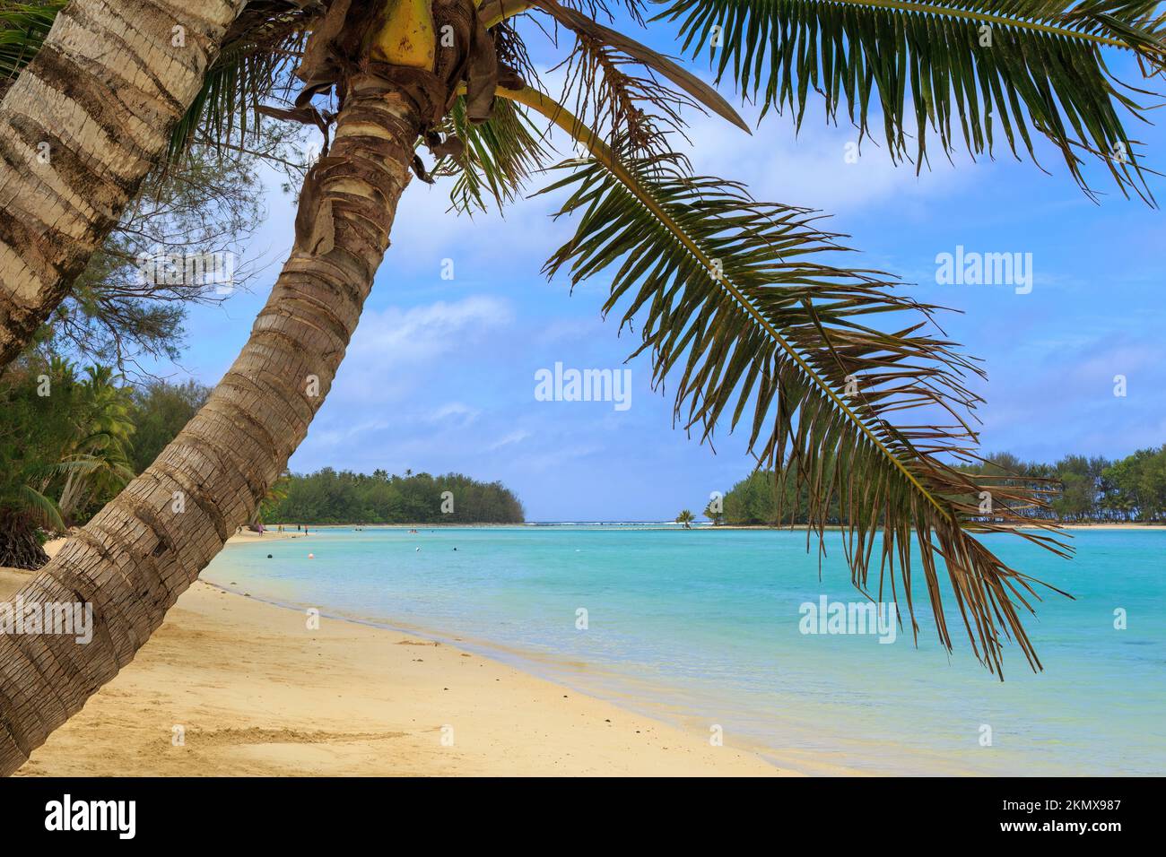 Belle plage de Muri et lagon sur l'île tropicale de Rarotonga dans les îles Cook Banque D'Images