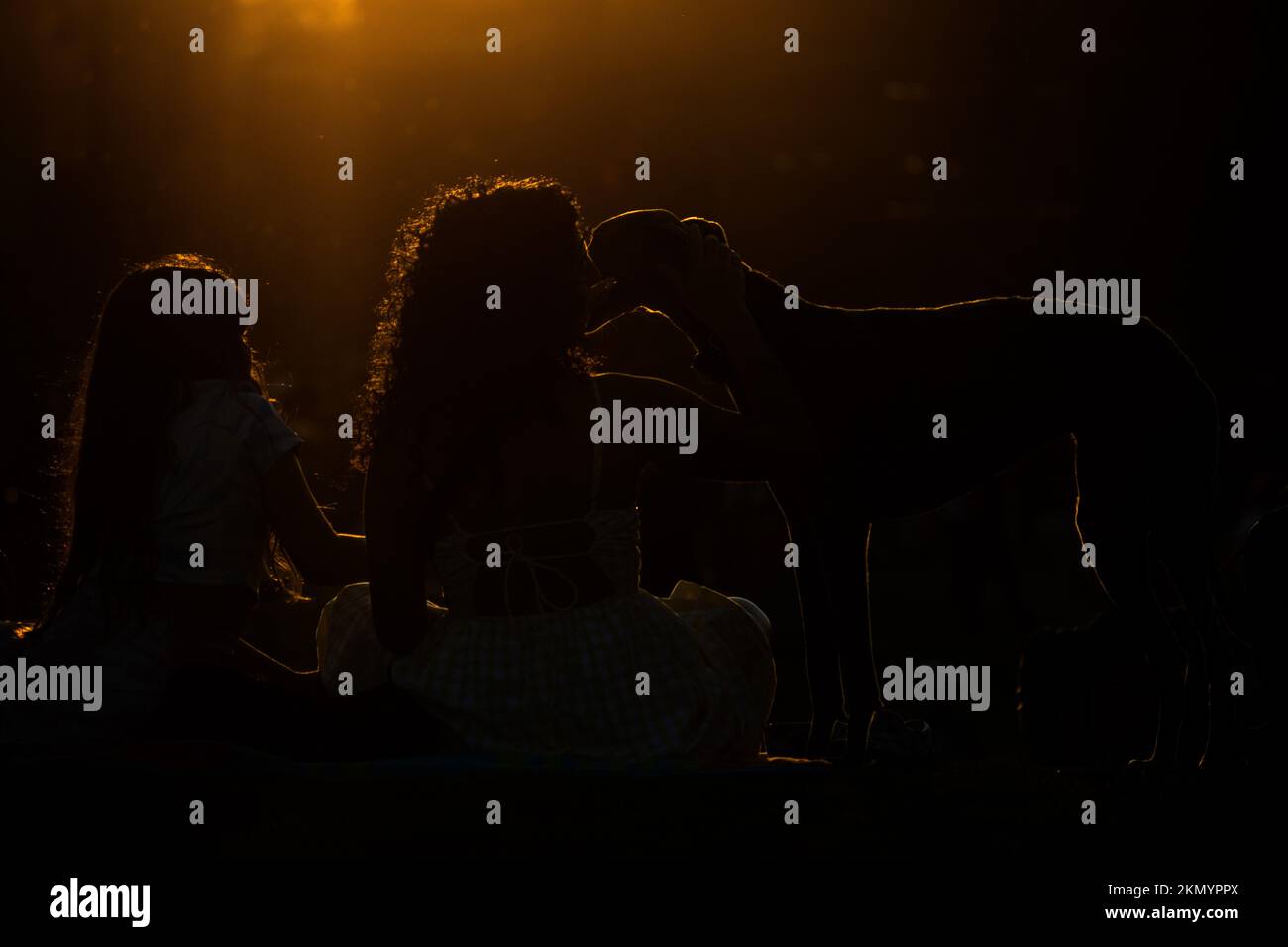 Santiago, Metropolitana, Chili. 26th novembre 2022. Une femme avec sa fille et son chien assiste à un concert de musique classique dans un parc à Santiago, au Chili, au coucher du soleil. (Credit image: © Matias Basualdo/ZUMA Press Wire) Banque D'Images