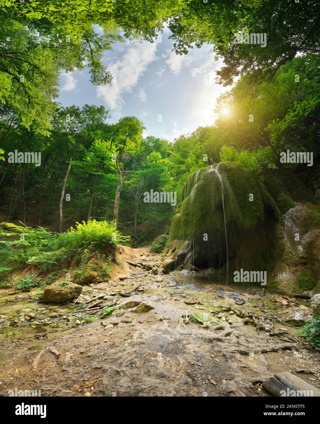 Cascade dans une forêt profonde. Composition de la nature. Banque D'Images