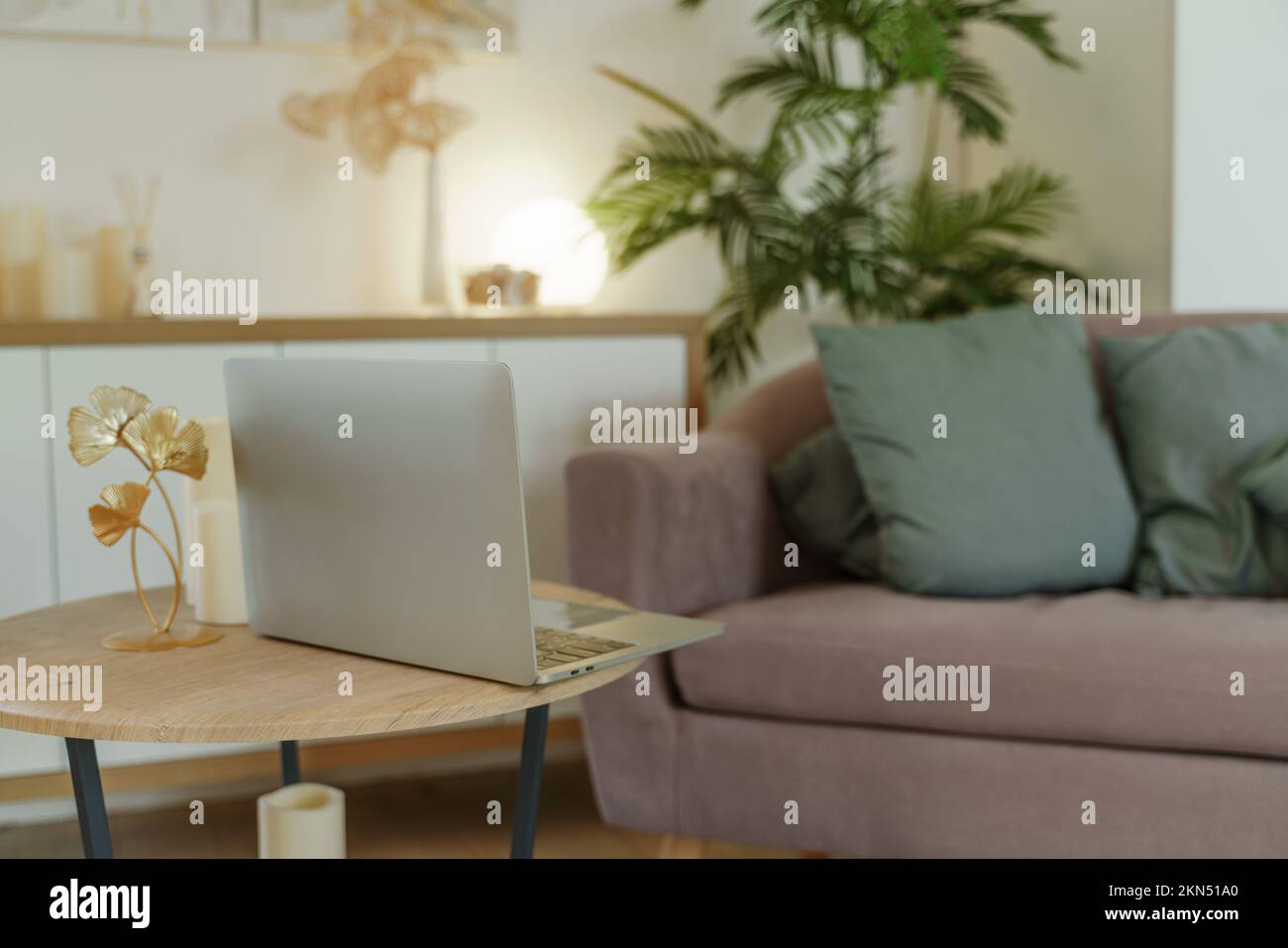 Un bureau confortable avec un ordinateur portable au bureau, à la maison. Chambre lumineuse avec grandes fenêtres, bibliothèque, plante verte. Travail à distance, indépendant. Banque D'Images