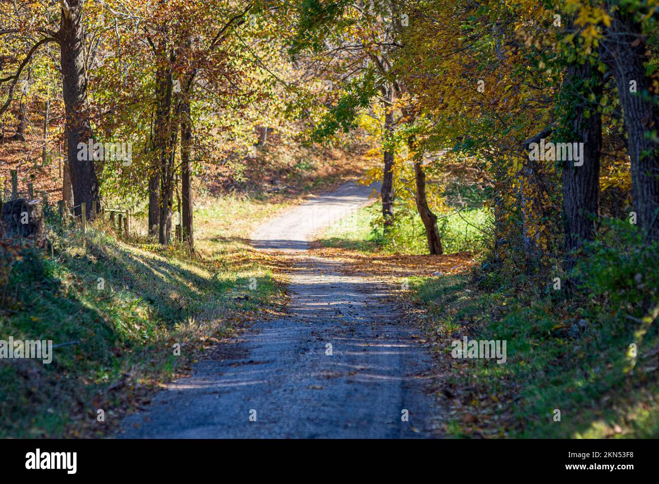 Route de gravier de campagne vide pendant la couleur du feuillage d'automne à l'apogée à Appalachia. Banque D'Images