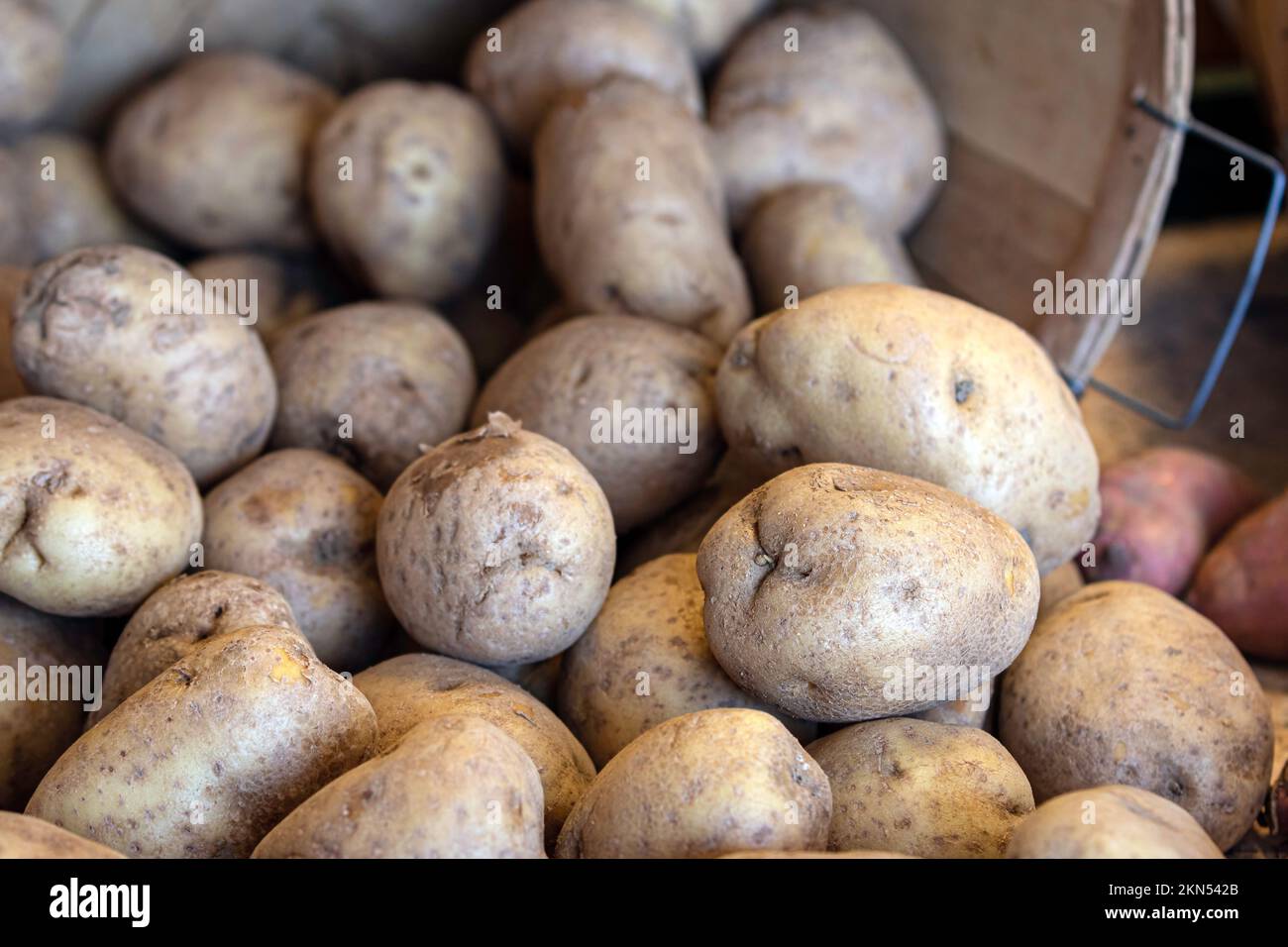 Pommes de terre fraîches d'Irlande dans un panier sur un marché agricole. Banque D'Images