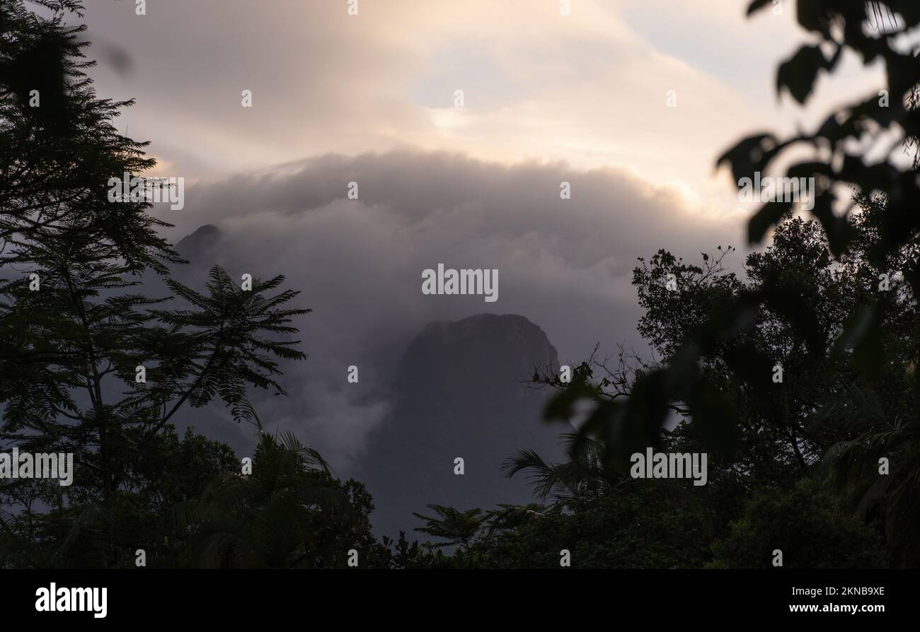 Montagne entre les nuages et la jungle Banque D'Images