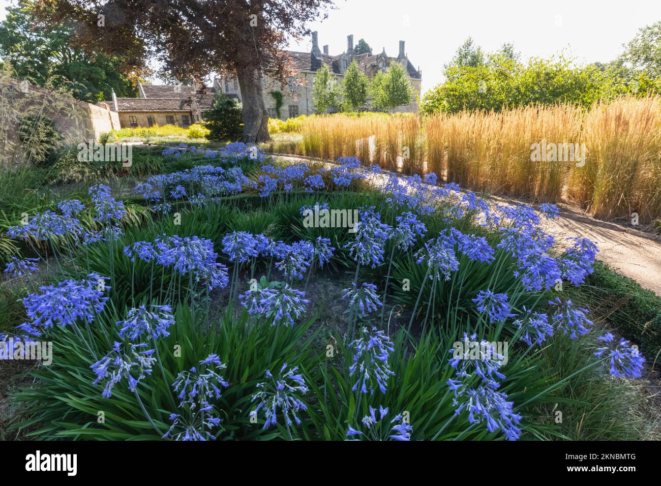 Angleterre, West Sussex, Wakehurst, Wakehurst place House and Gardens Banque D'Images