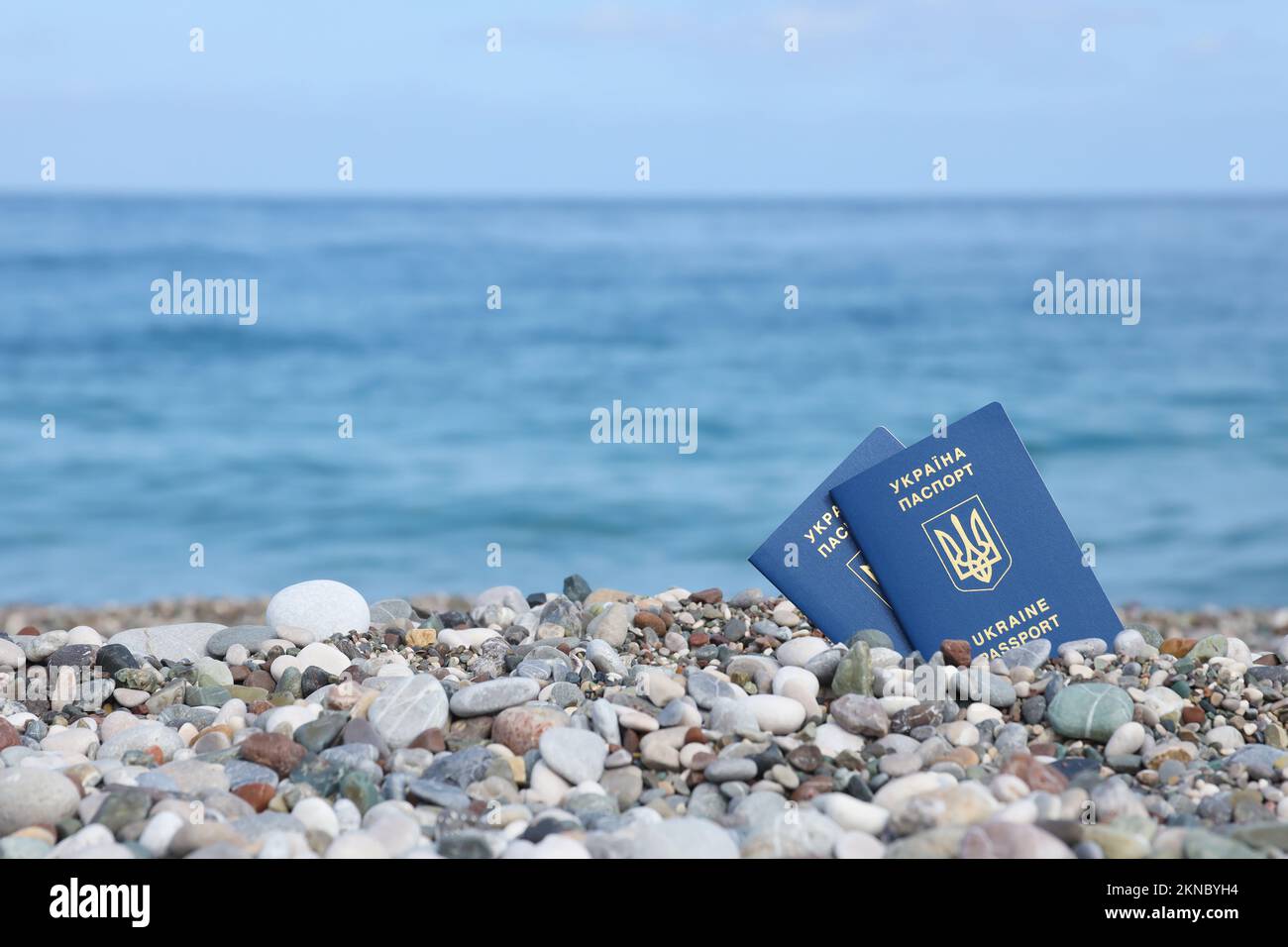 Le nouveau passeport biométrique ukrainien vous permet de voyager dans les pays européens de l'Union européenne sans visa. Document d'identité électronique gratuit Visa. Ukrain Banque D'Images