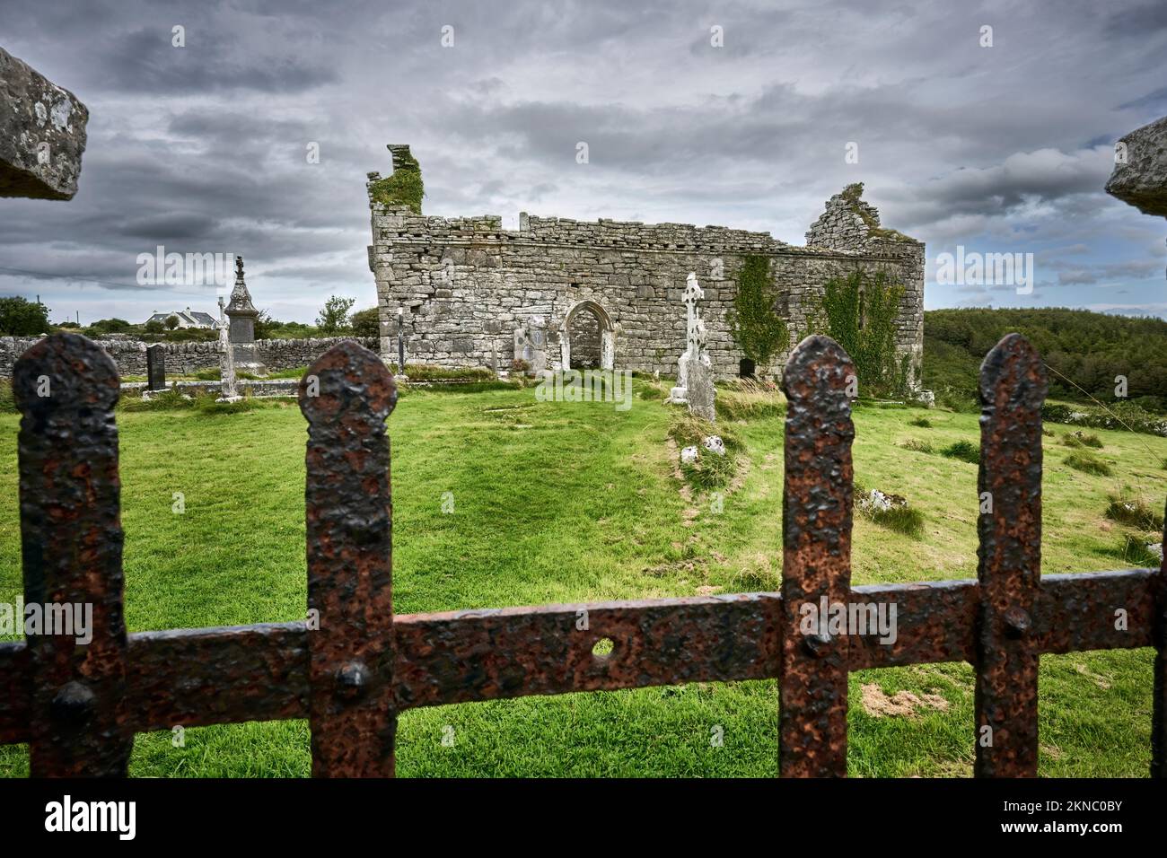 Ruines d'un ancien monastère et cimetière de Kilmacduagh à Gort, comté de Galway, République d'Irlande Banque D'Images