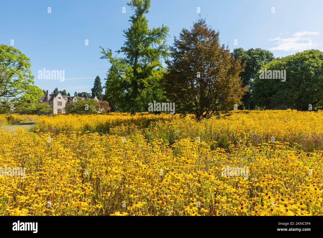Angleterre, West Sussex, Wakehurst, Wakehurst place House and Gardens Banque D'Images