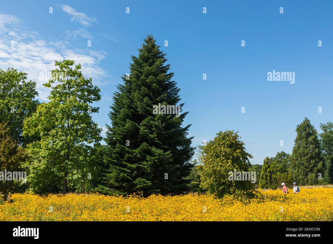 Angleterre, West Sussex, Wakehurst, Wakehurst place House and Gardens Banque D'Images