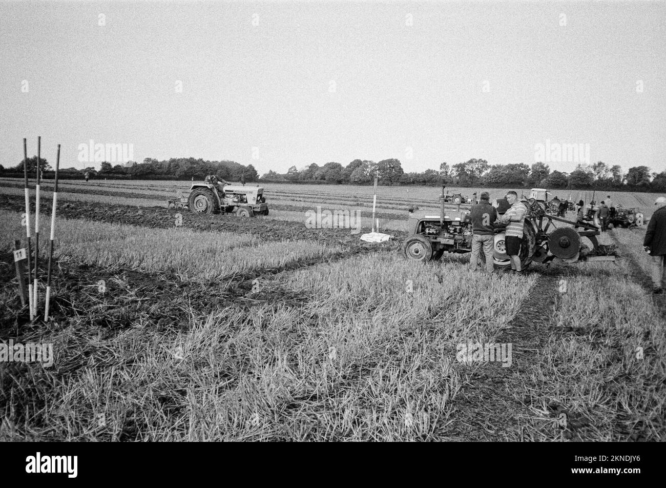 Labour Match, 16th octobre 2022, Hattingley, Medstead, Alton, Hampshire, Angleterre, Royaume-Uni. Banque D'Images