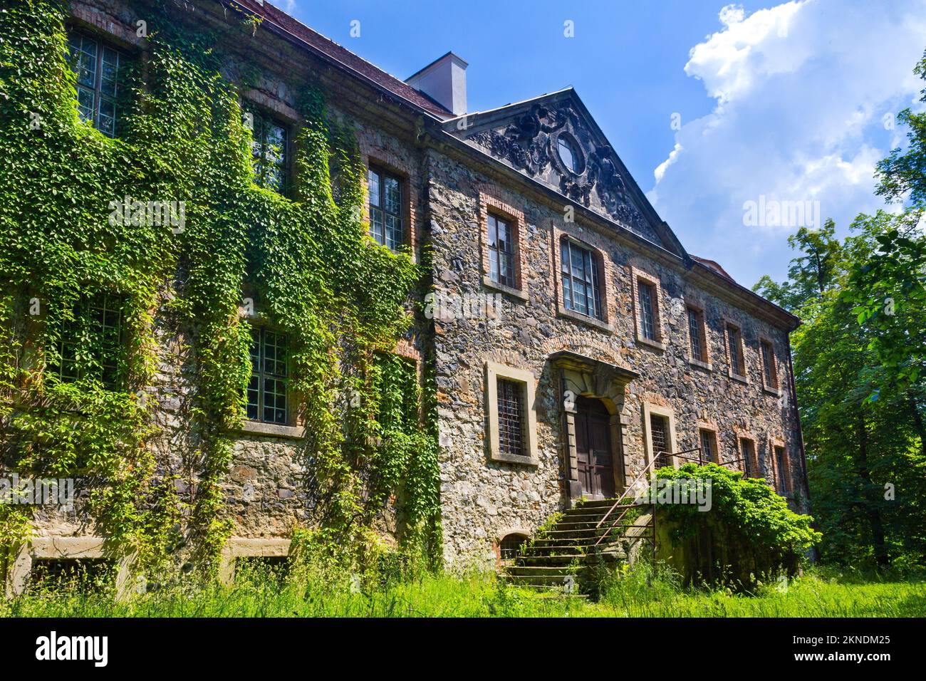 La façade du château de Tauchritz couverte de lierre près de Goerlitz en Allemagne Banque D'Images